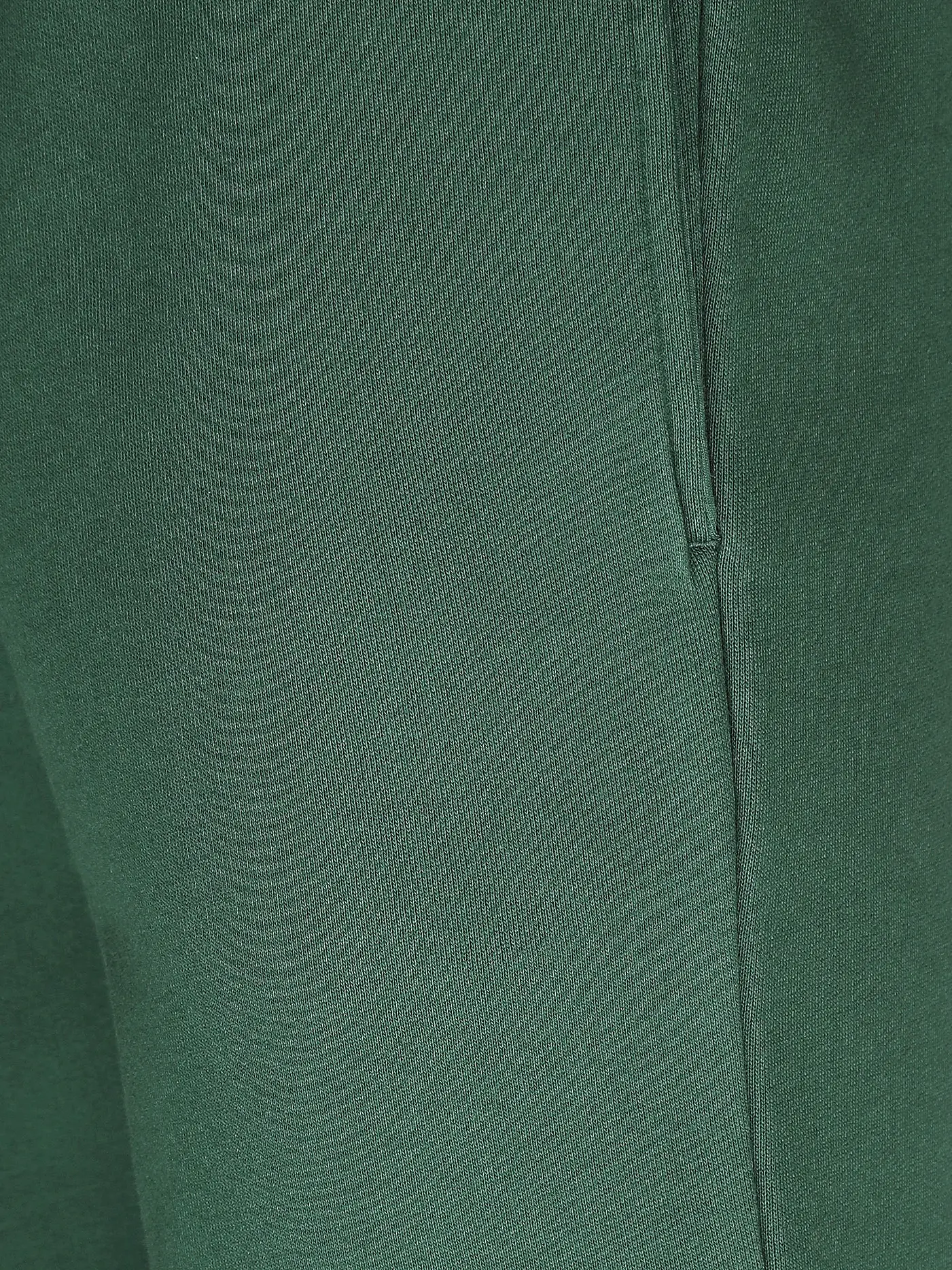 LACOSTE | Shorts | grün