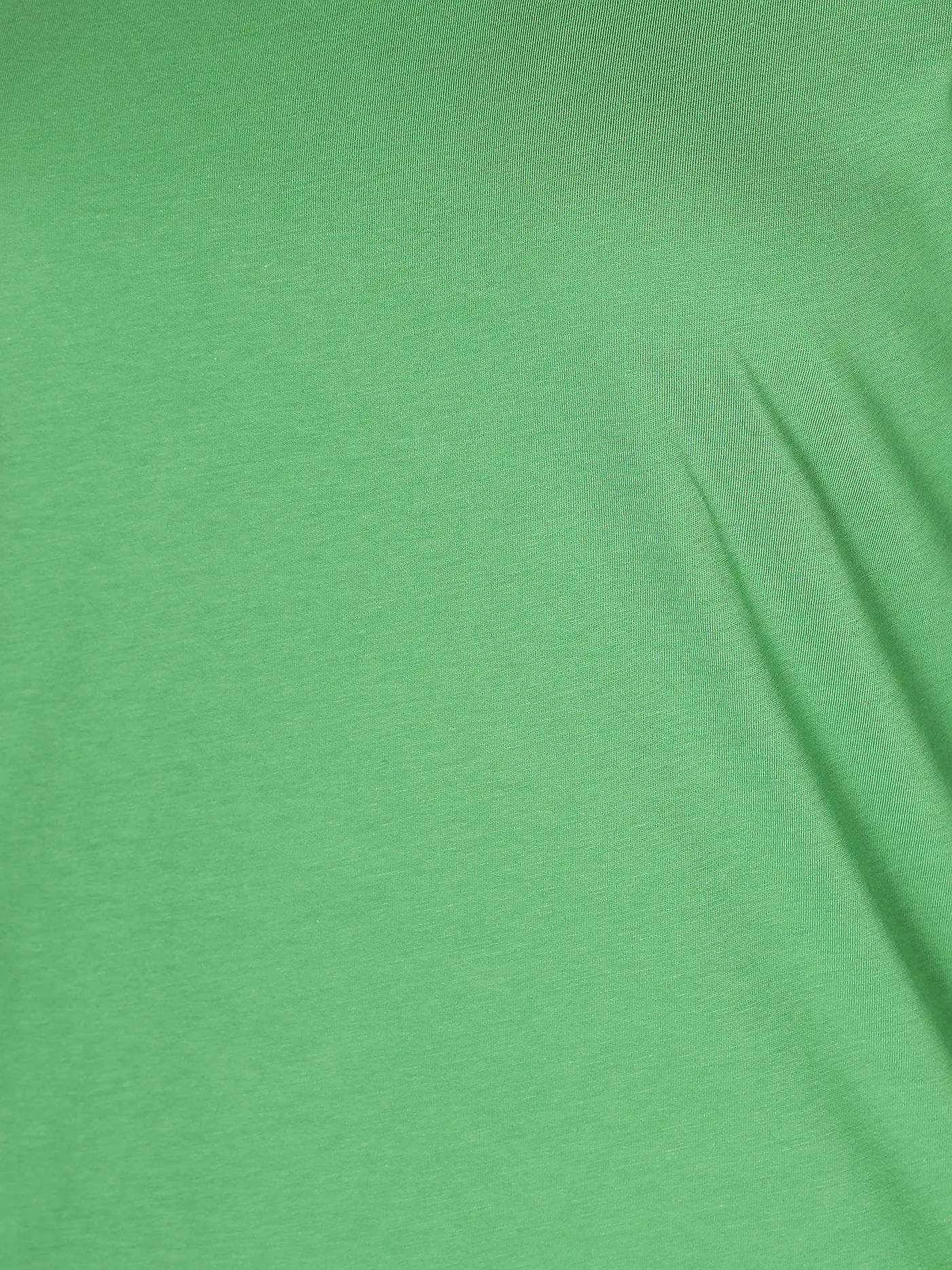 LANIUS | Langarmshirt | grün