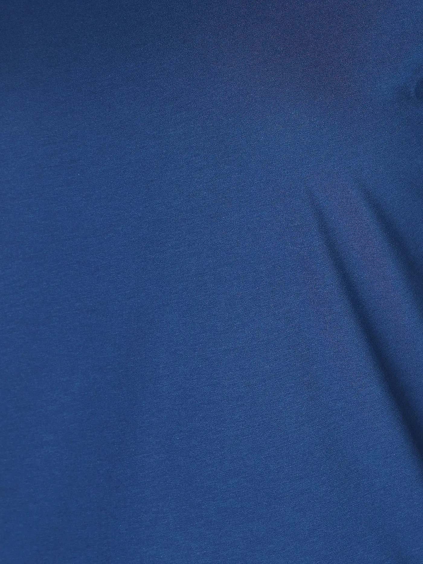 LANIUS | Langarmshirt | blau