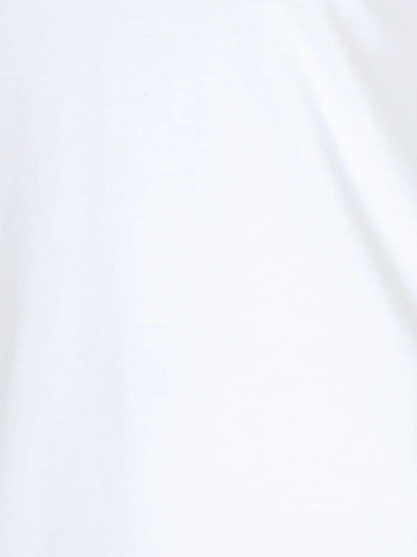 LANIUS | Rollkragenshirt  | weiss