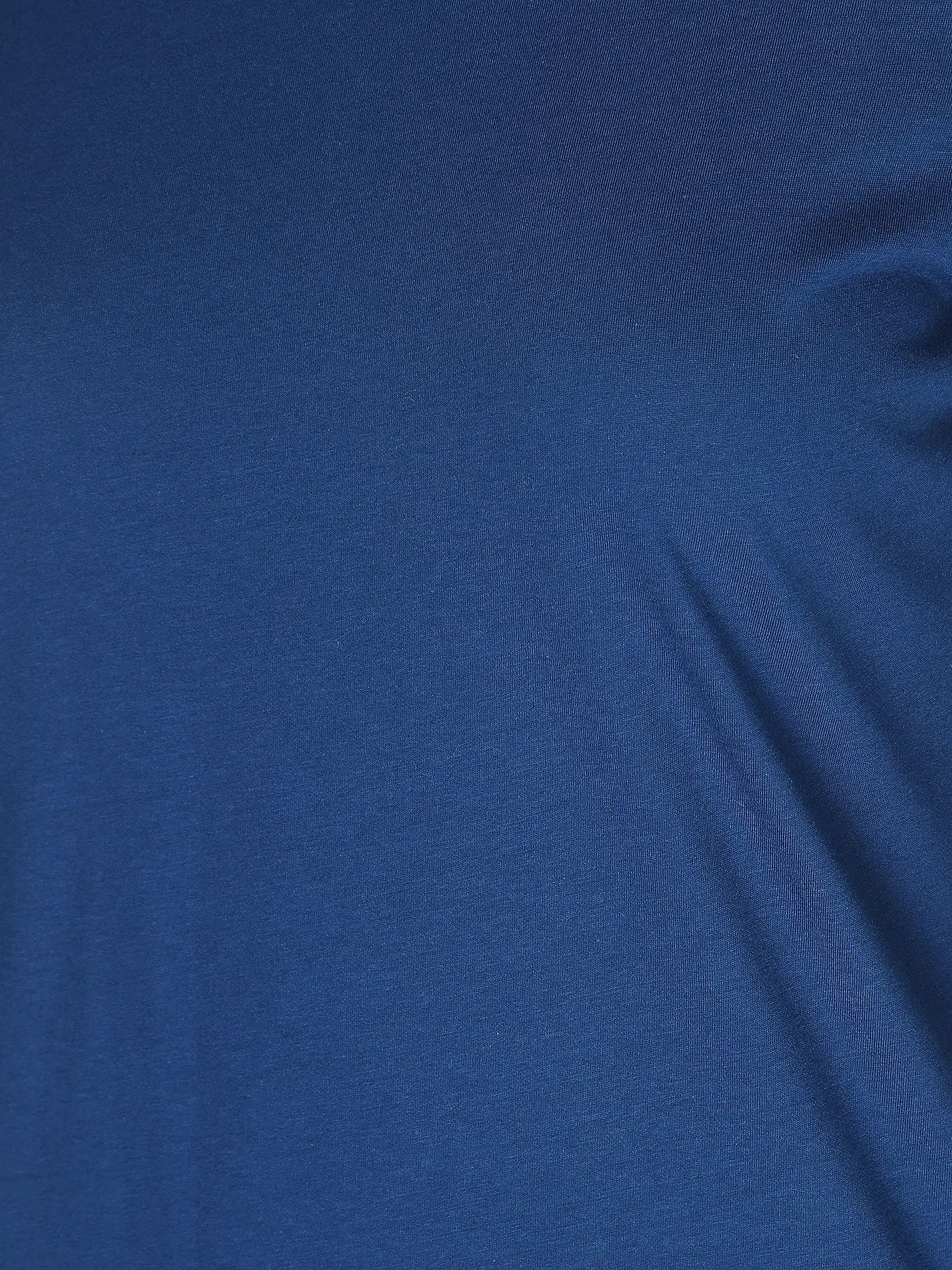 LANIUS | Rollkragenshirt | blau