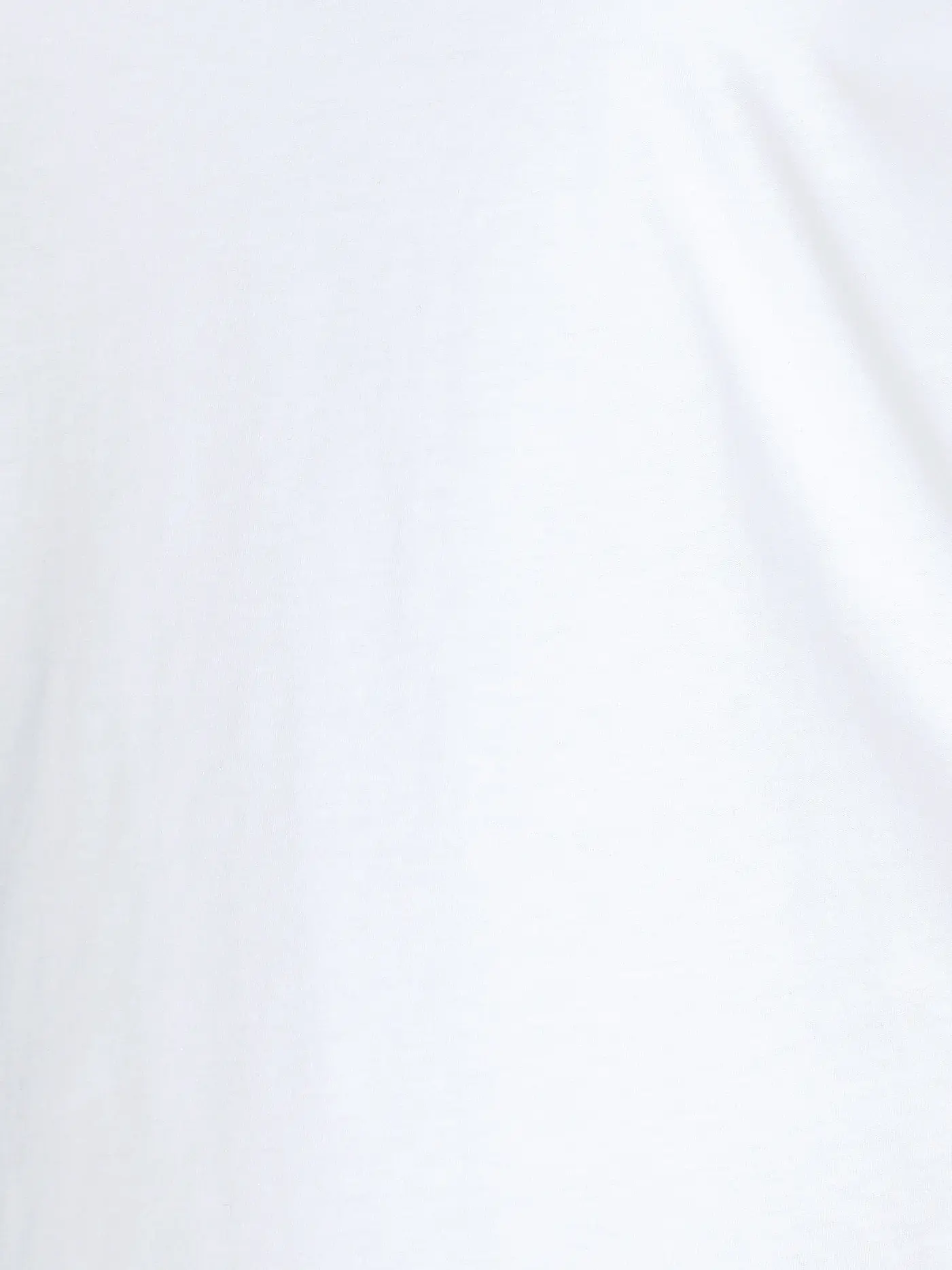 LANIUS | Shirt | weiss