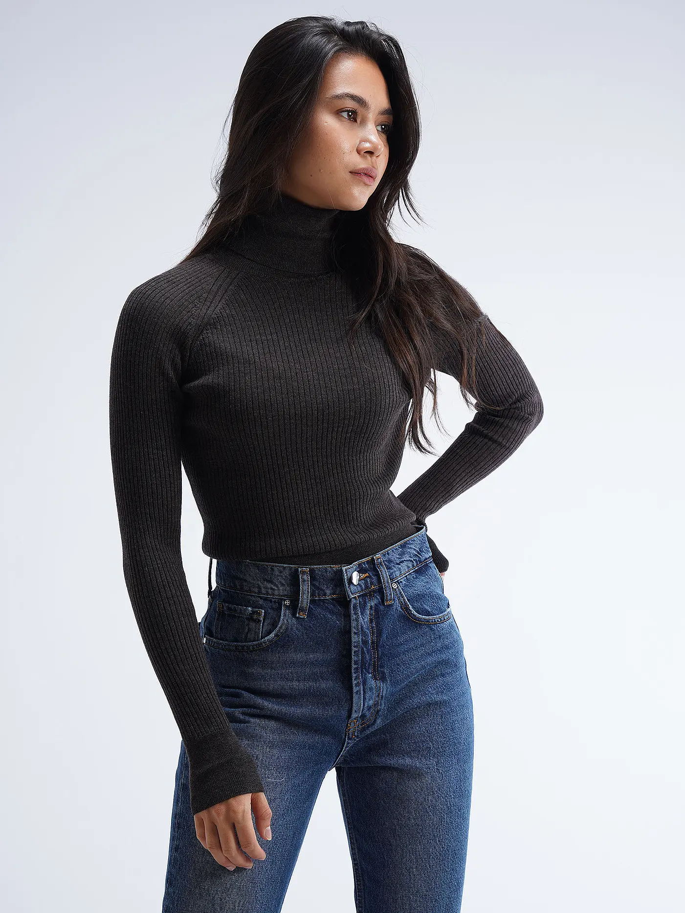 LENA HOSCHEK | Rollkragenpullover WENDY | braun