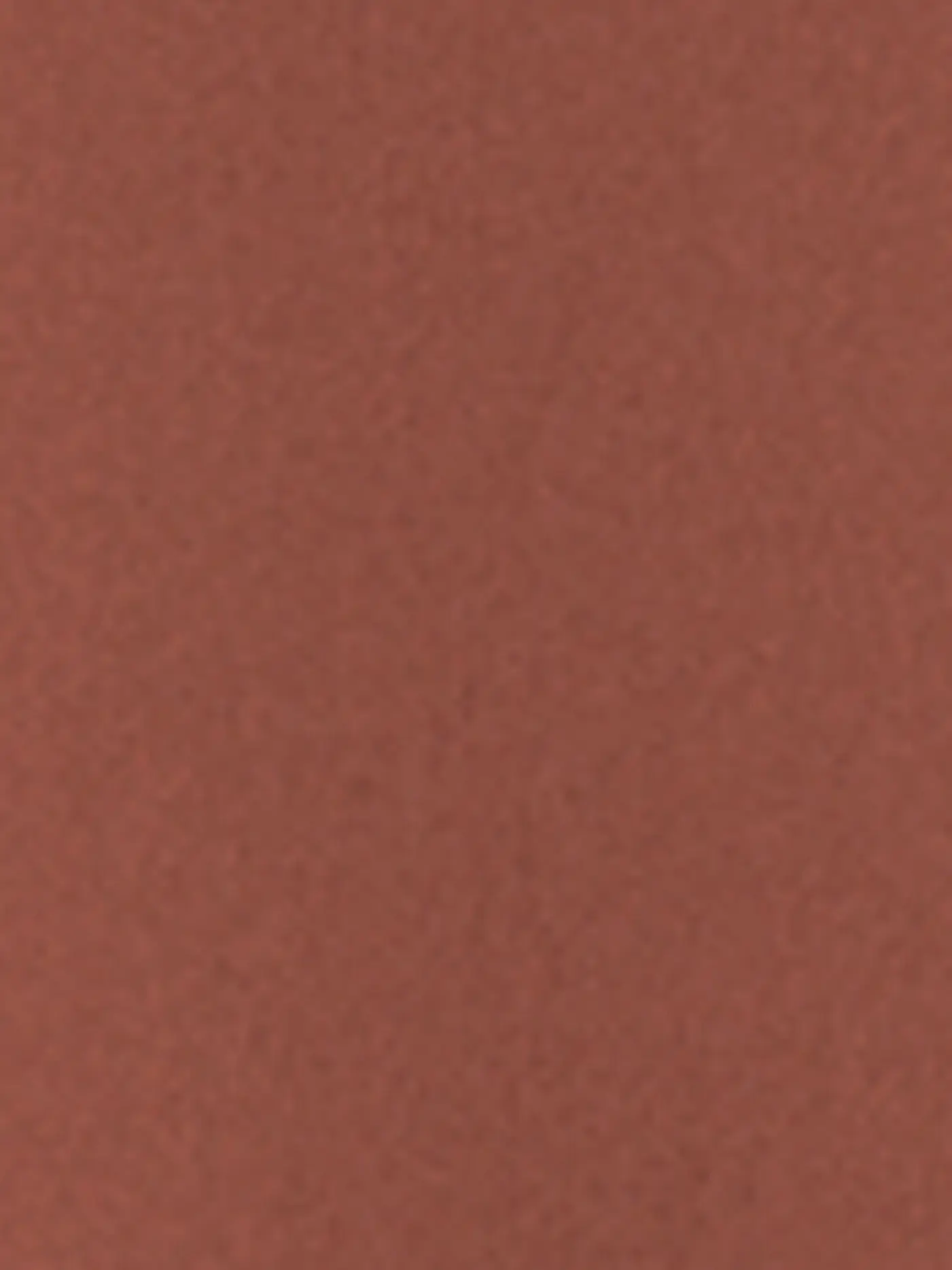 LUISA CERANO | Seidenbluse  | braun