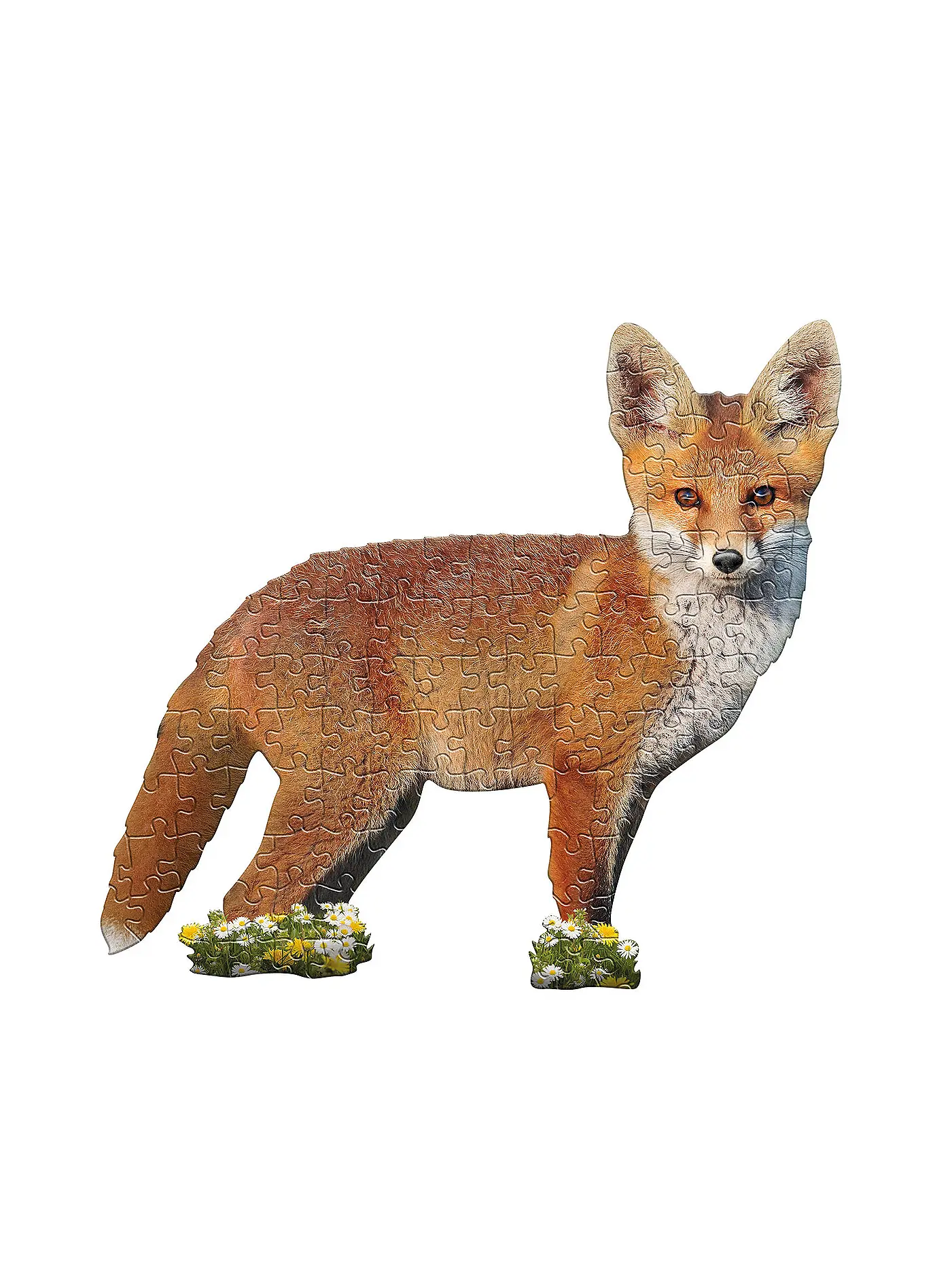 MADD CAPP | Konturpuzzle Jr. Fuchs 100 XL Teile | keine Farbe