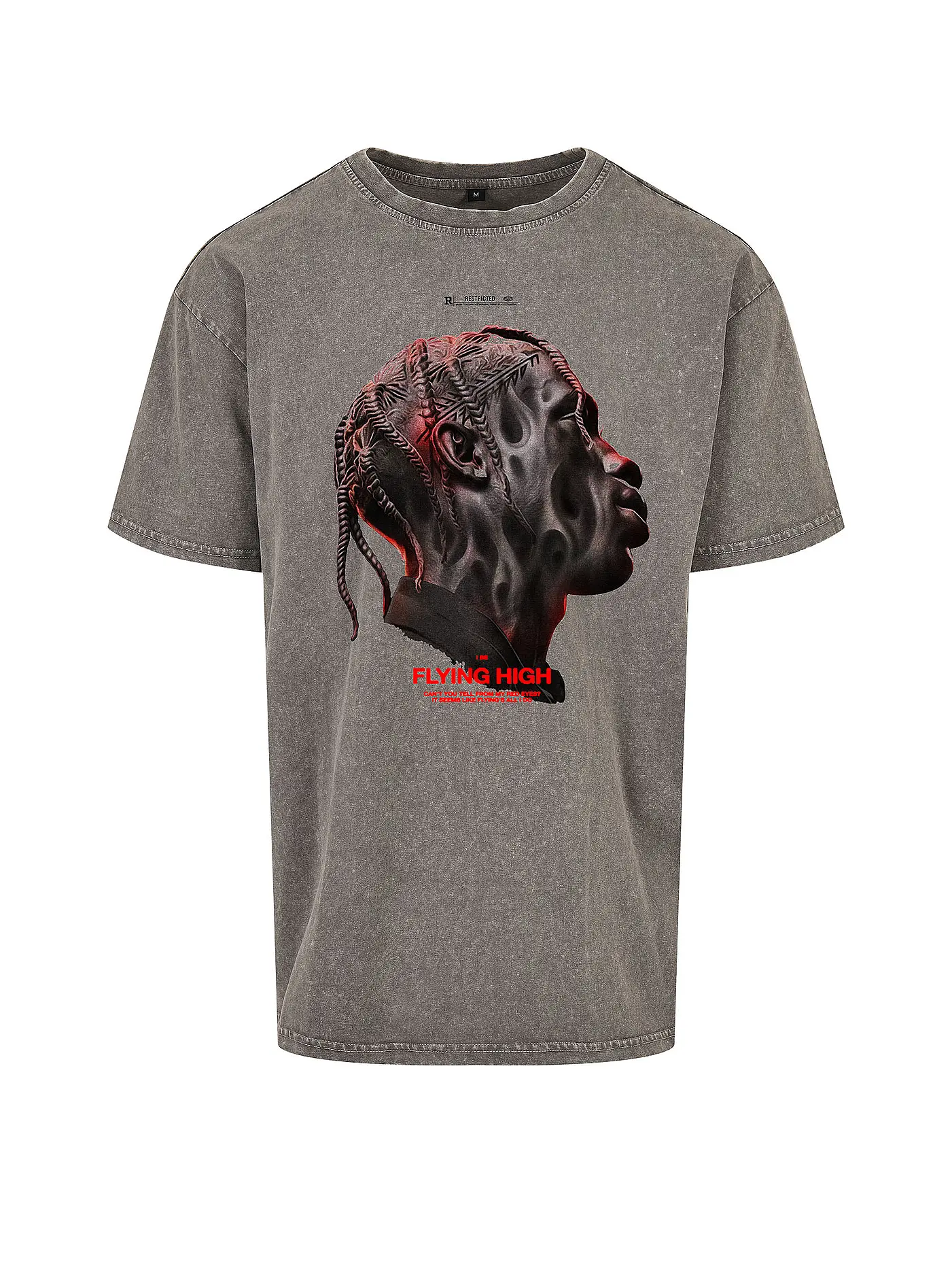 MISTER TEE | T-Shirt FLYING HIGH  | grau