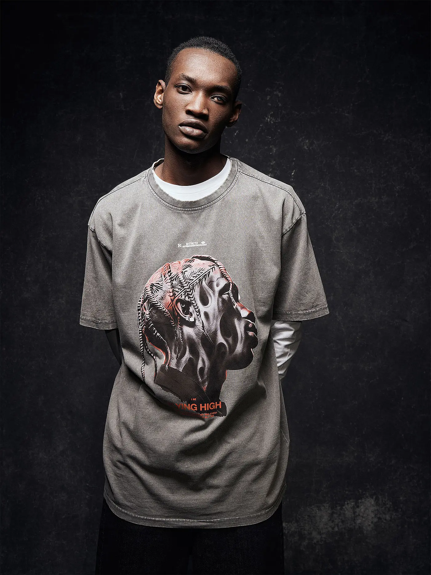 MISTER TEE | T-Shirt FLYING HIGH  | grau