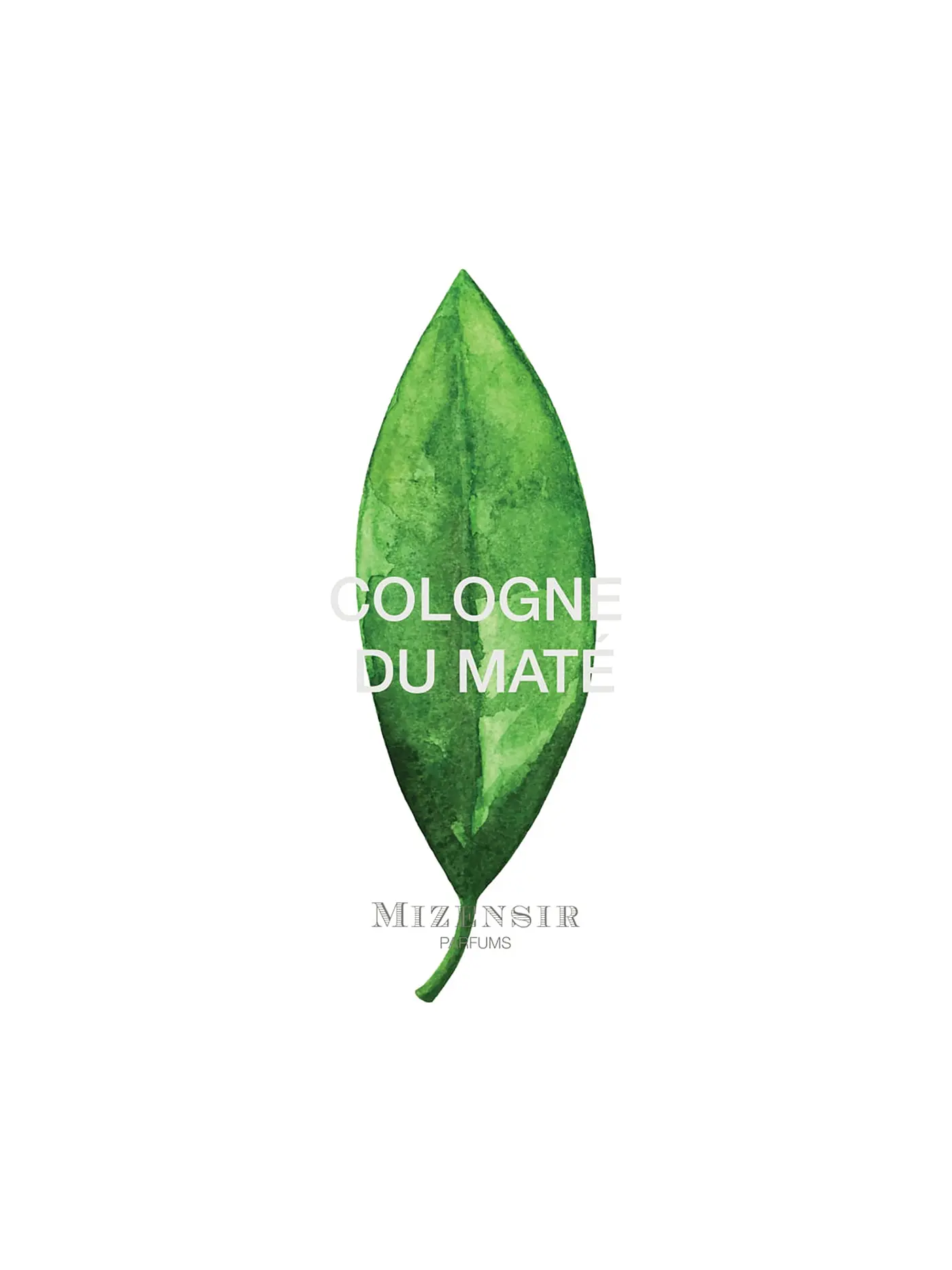 MIZENSIR | Cologne du Maté Eau de Parfum 100ml | keine Farbe