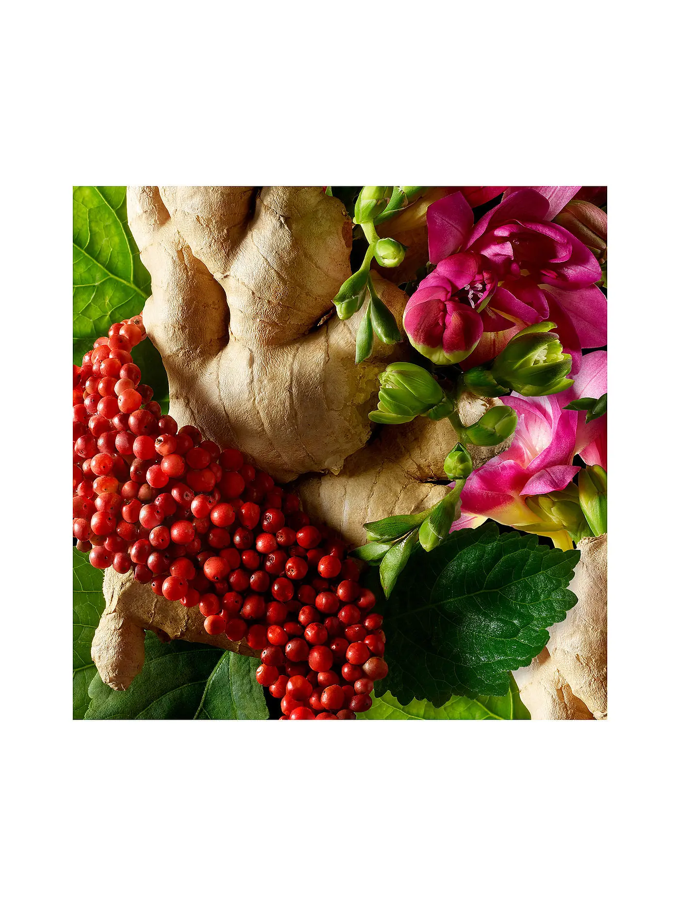 MOLTON BROWN | Fiery Pink Pepper Bath and Shower Gel 300ml | keine Farbe