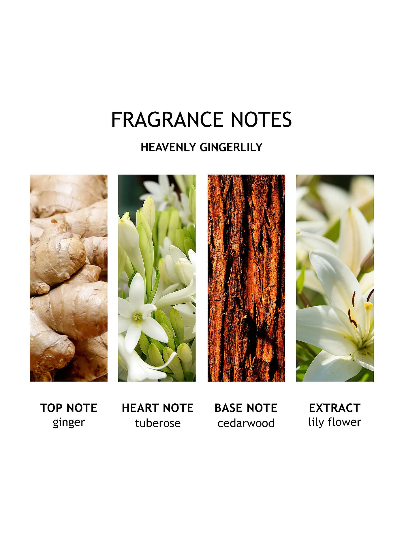 MOLTON BROWN | Heavenly Gingerlily Fine Liquid Hand Wash 300ml | keine Farbe