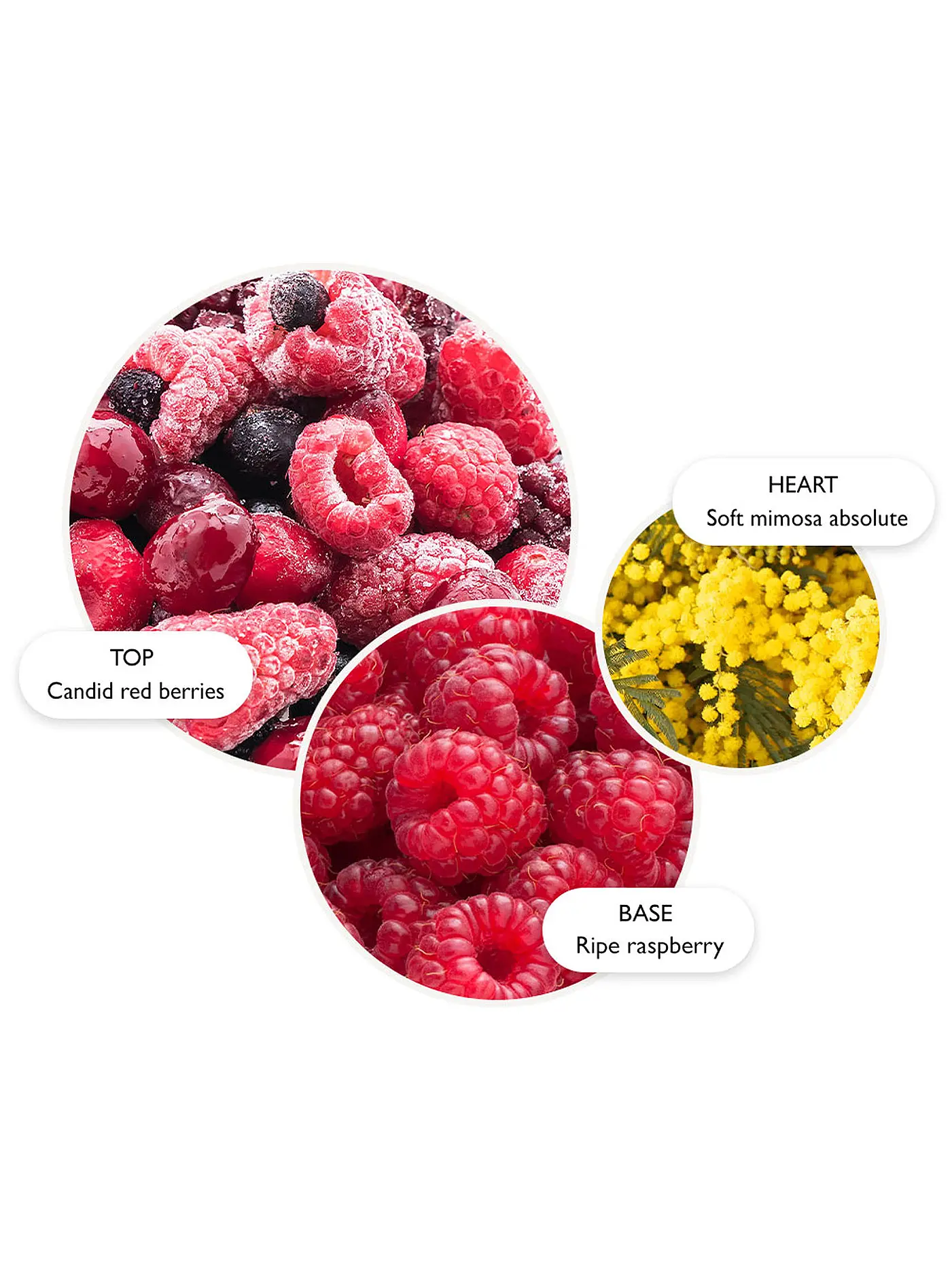 MOLTON BROWN | Merry Berries & Mimosa Body Lotion 300ml | keine Farbe