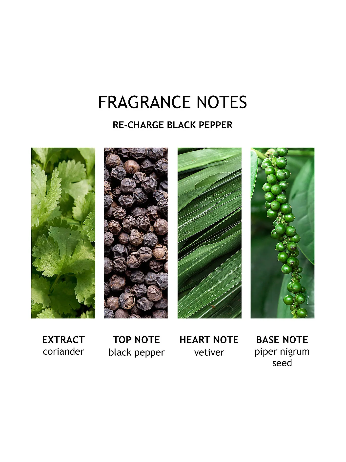 MOLTON BROWN | Re-Charge Black Pepper Bath and Shower Gel 300ml | keine Farbe