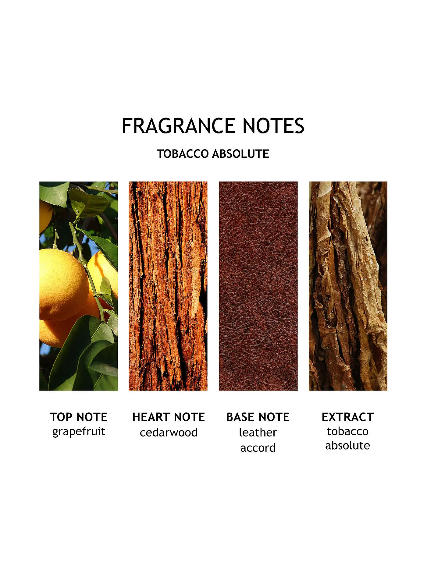 MOLTON BROWN | Tabacco Absolute Bath and Shower Gel 300ml | keine Farbe
