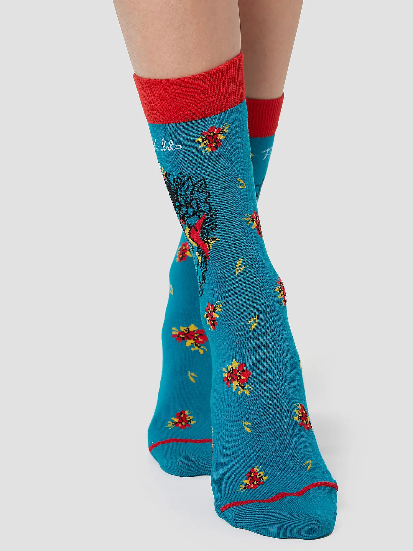 MUSEARTA | Herren Socken FRIDA WITH HUMMINGBIRD green (40-46) | petrol