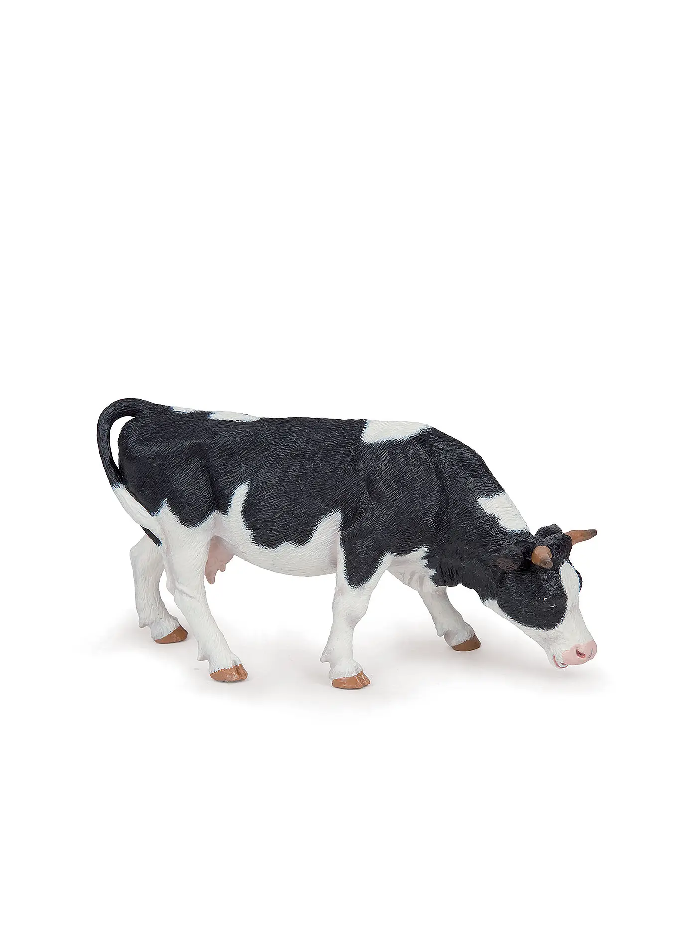 PAPO | Grasende Holstein Kuh | keine Farbe