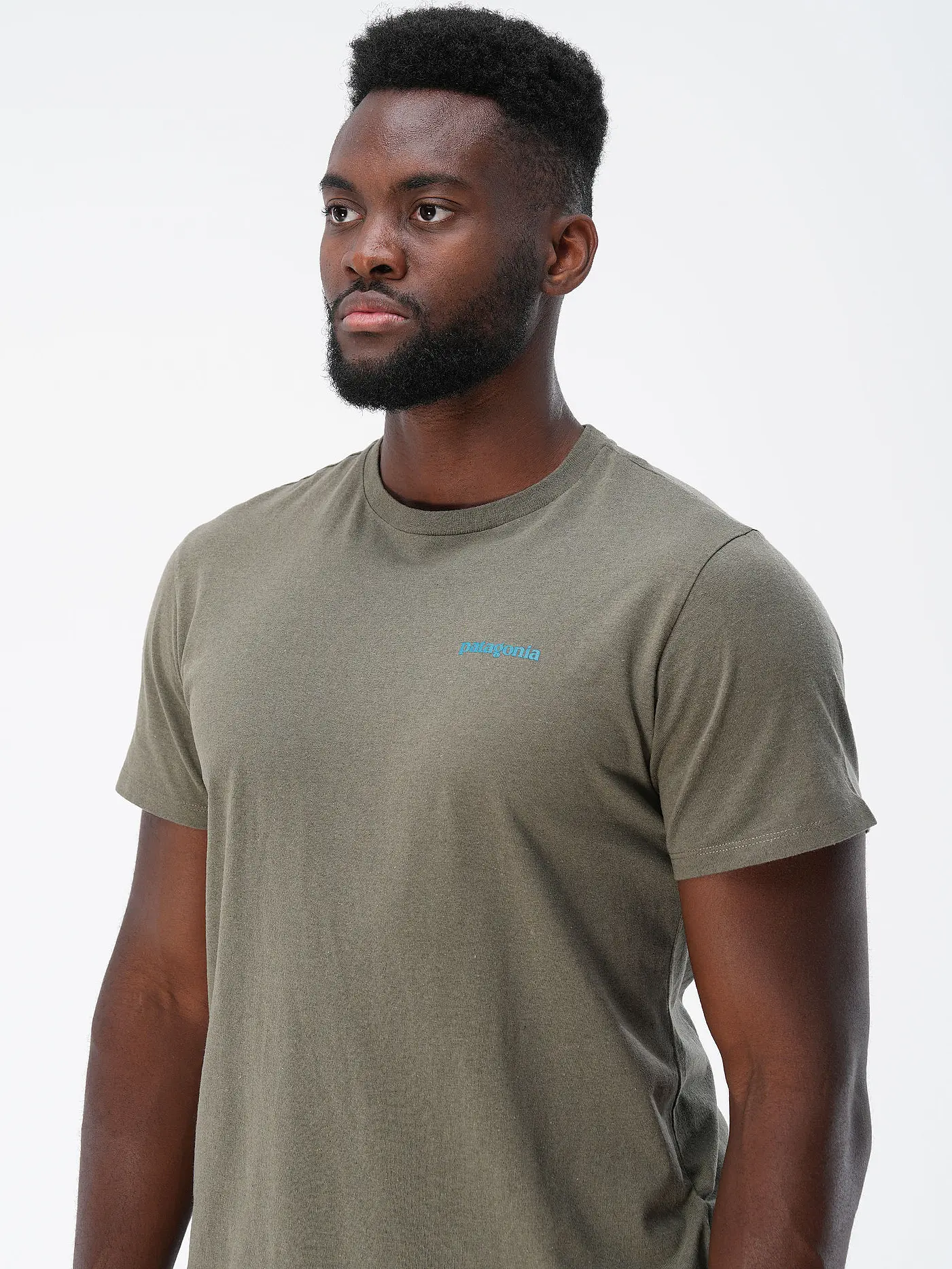 PATAGONIA | T-Shirt M'S FITZ ROY ICON RESPONSIBILI-TEE | hellgrün
