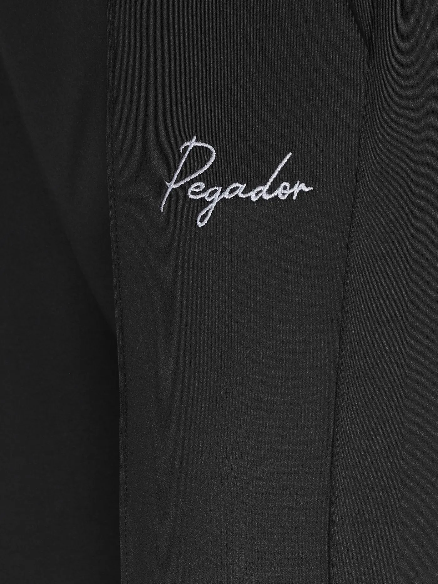 PEGADOR | Jogginghose  | schwarz