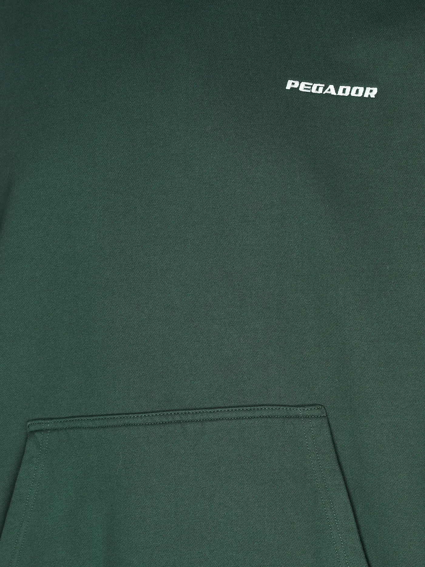 PEGADOR | Kapuzensweater - Hoodie  | dunkelgrün