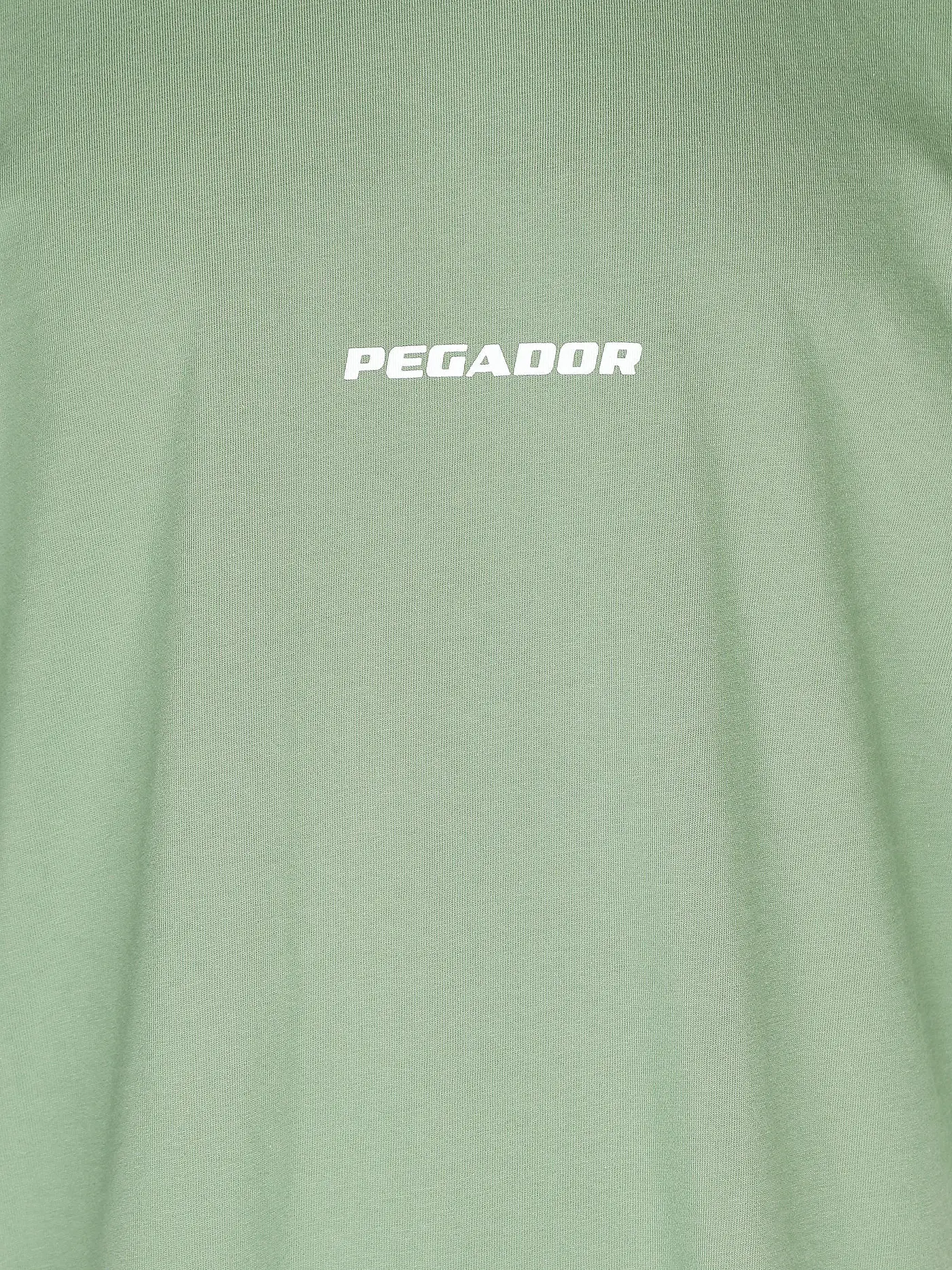 PEGADOR | T-Shirt Oversized Fit | hellgrün