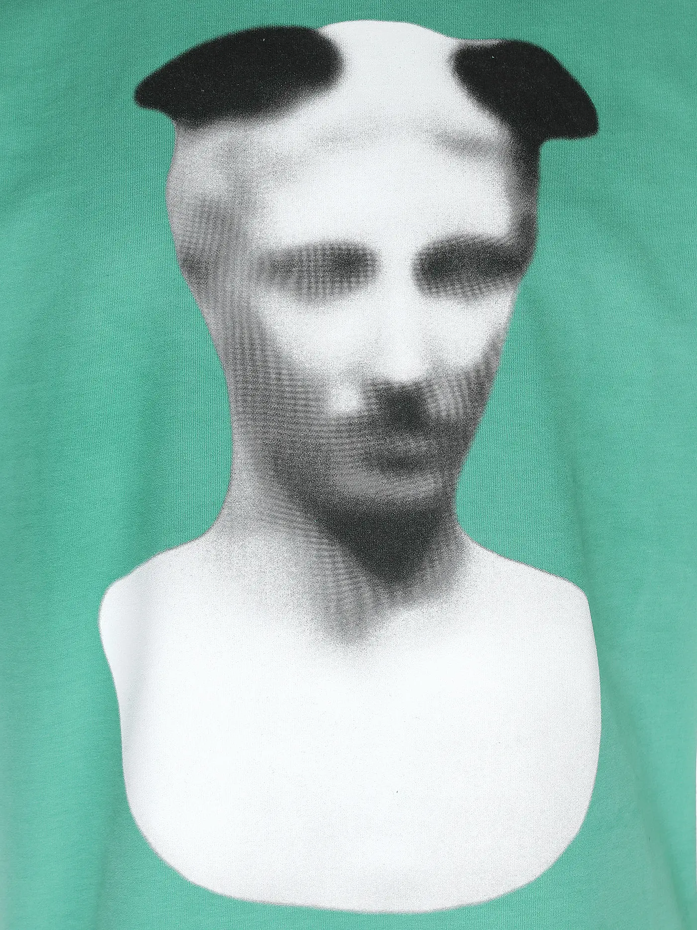 PEQUS | T-Shirt ARTIST GRAPHIC | grün