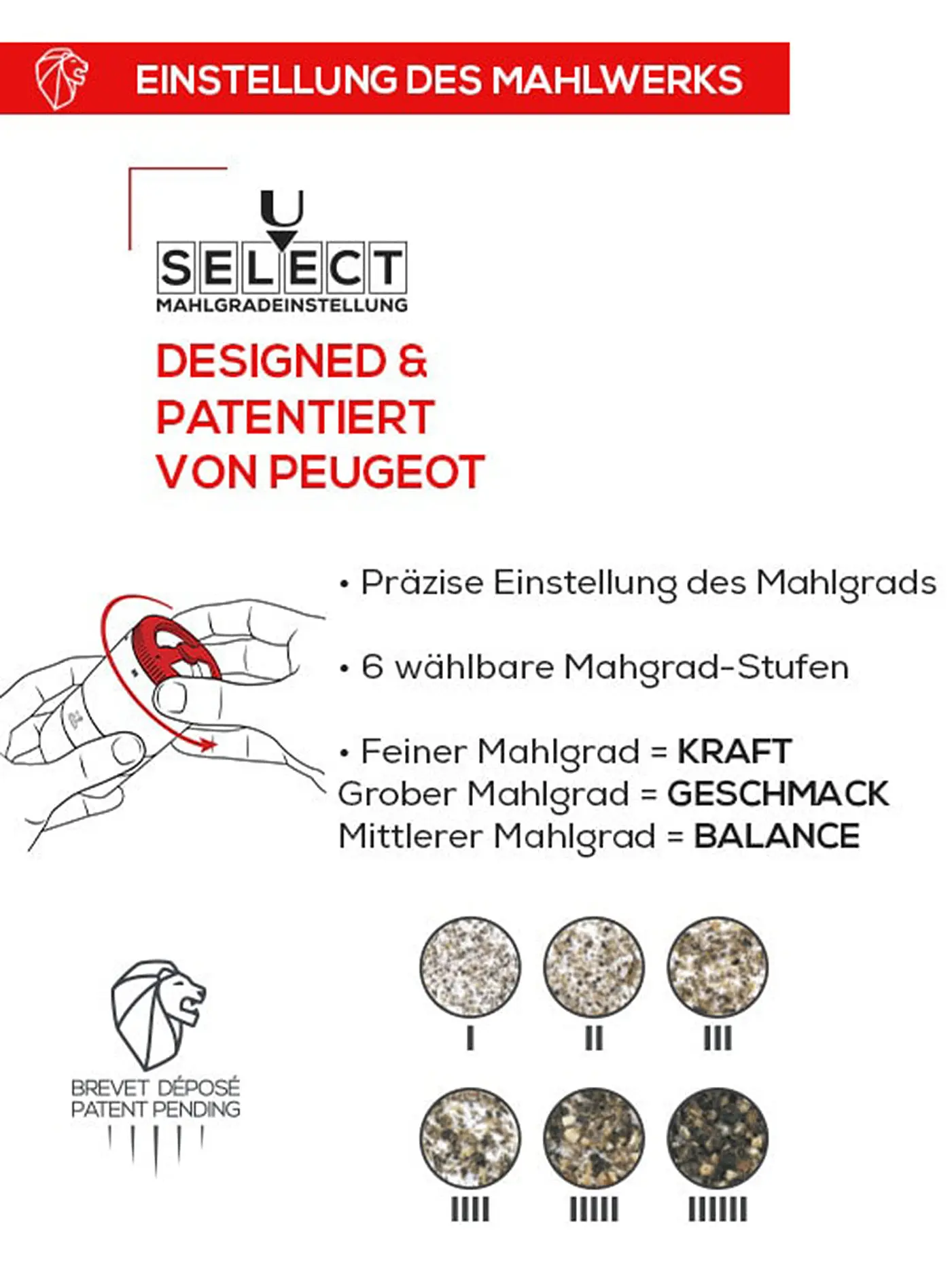 PEUGEOT | Pfeffermühle MAESTRO 11cm Buche / Graphit | grau