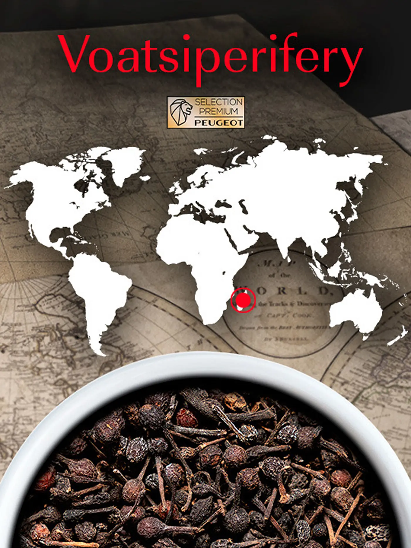 PEUGEOT | Wilder Pfeffer Voatsiperifery Madagaskar 3x20g | schwarz