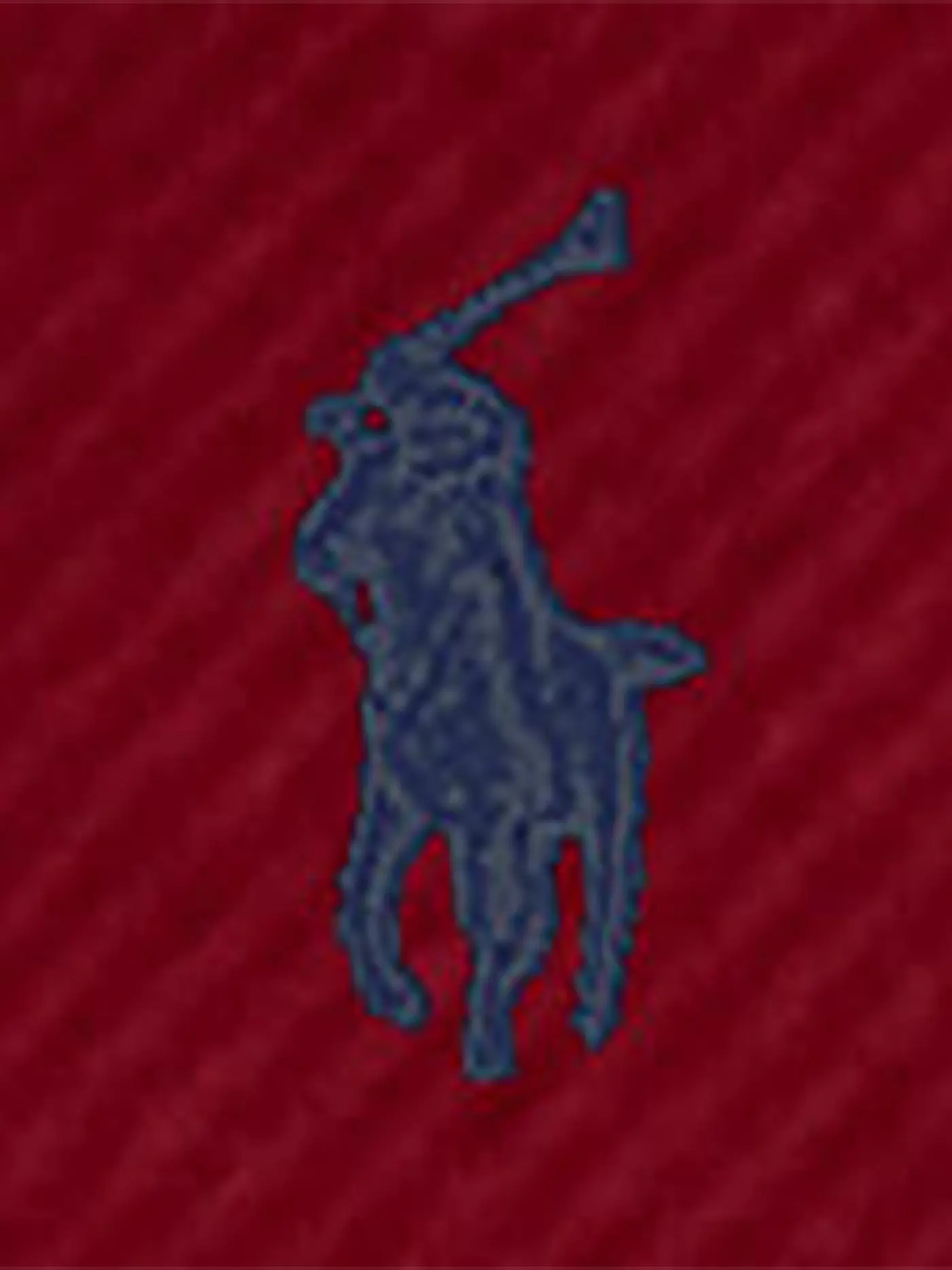 POLO RALPH LAUREN | Kappe | rot