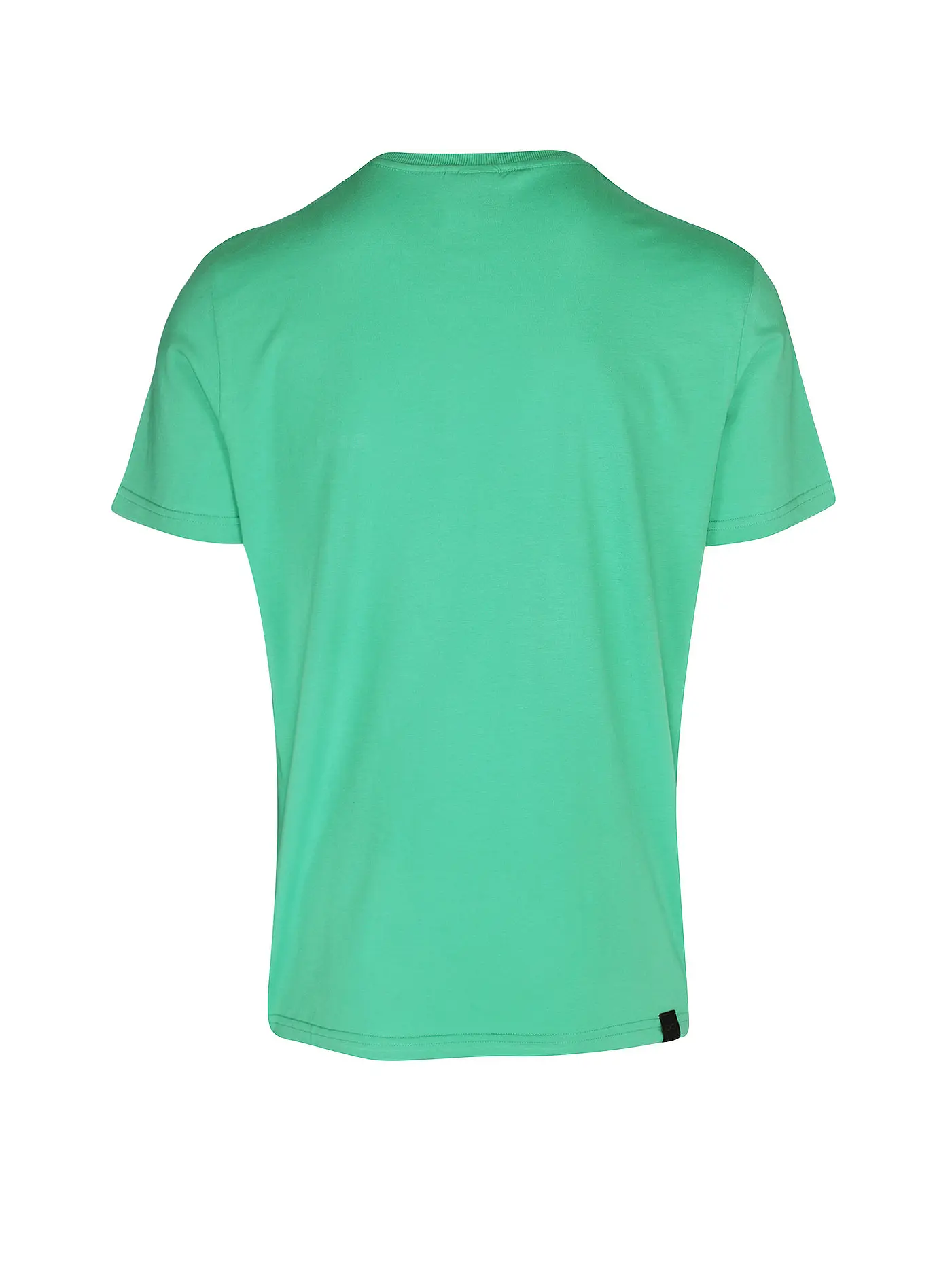 RAGWEAR | T-Shirt NEDIE  | grün