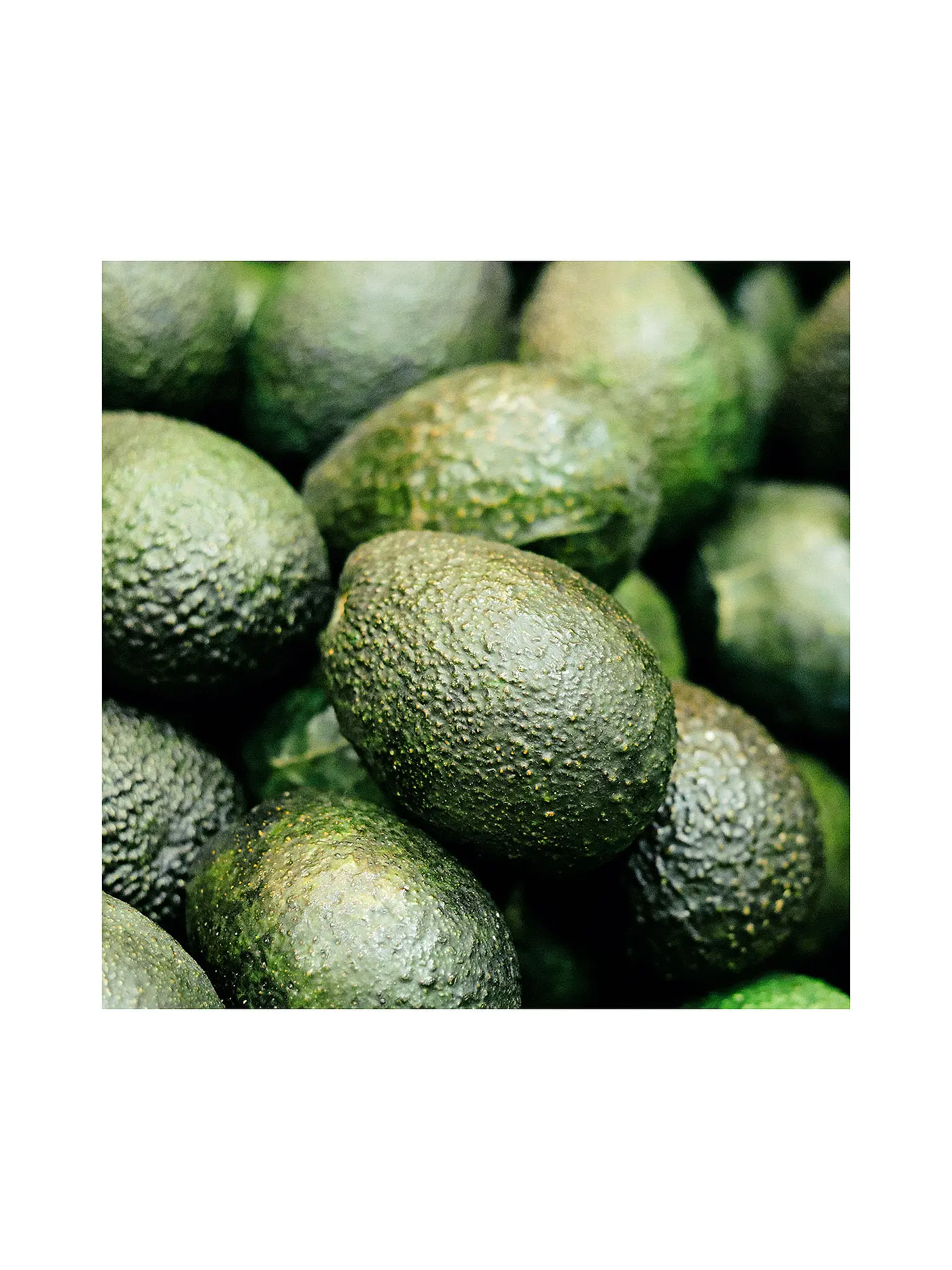 RAUSCH | Farbschutz-Shampoo mit Avocado 200ml | keine Farbe