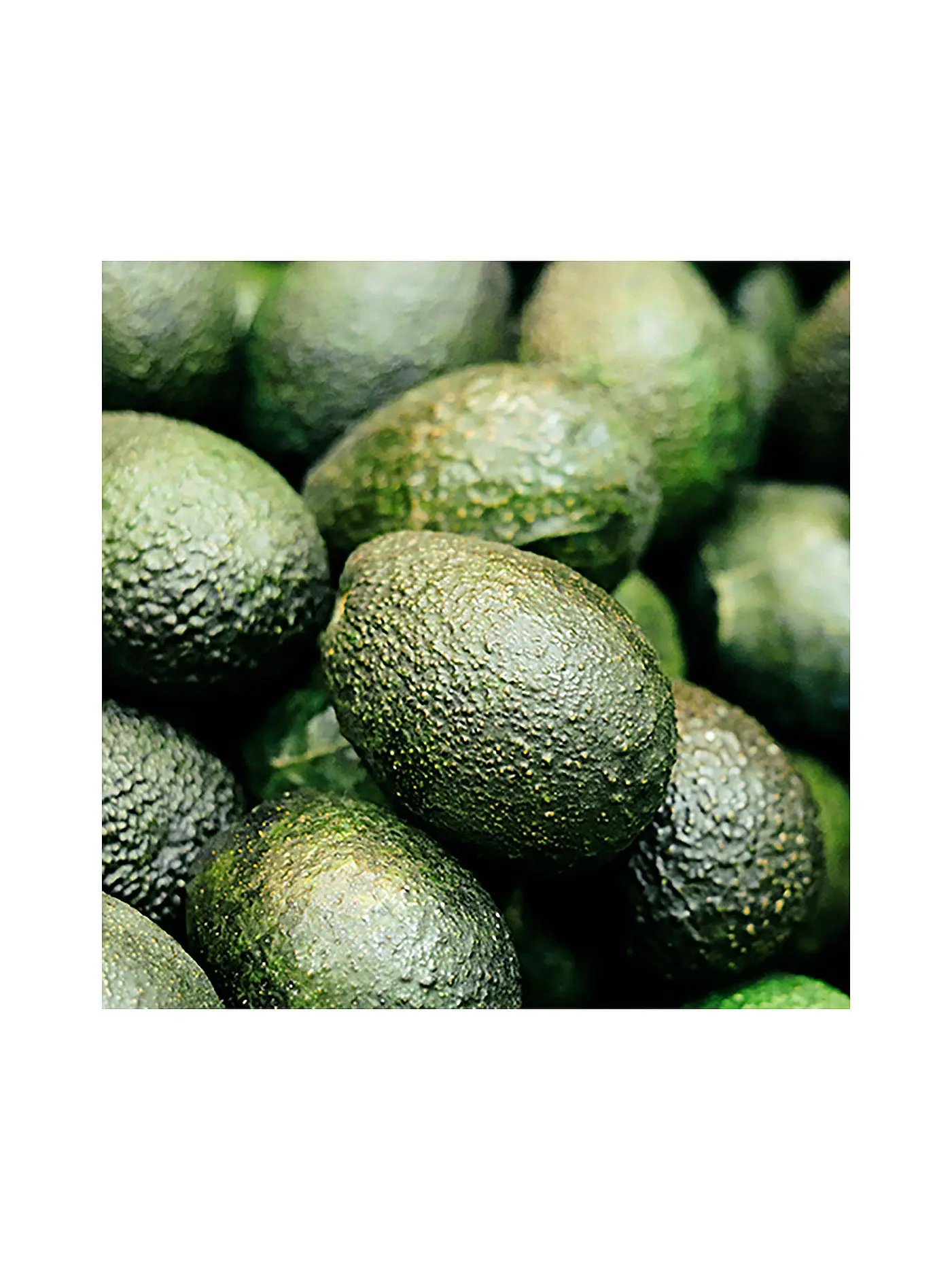 RAUSCH | Farbschutz-Spray mit Avocado 100ml | keine Farbe