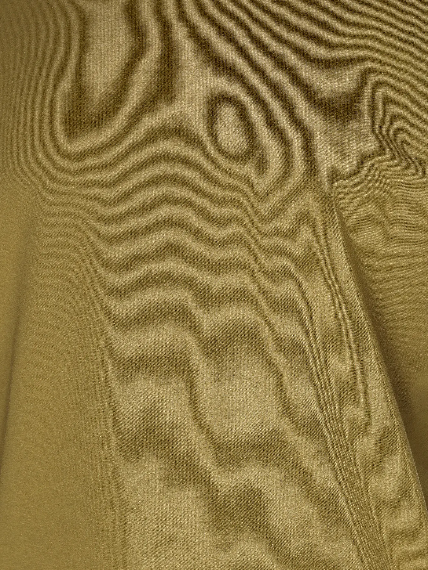 REPLAY | Langarmshirt | olive