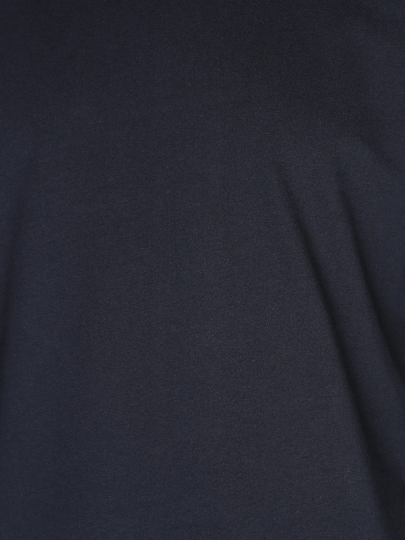 REPLAY | Langarmshirt | blau