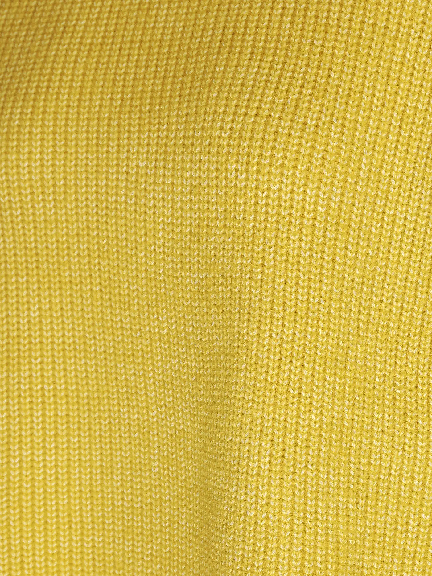REPLAY | Rollkragenpullover  | gelb