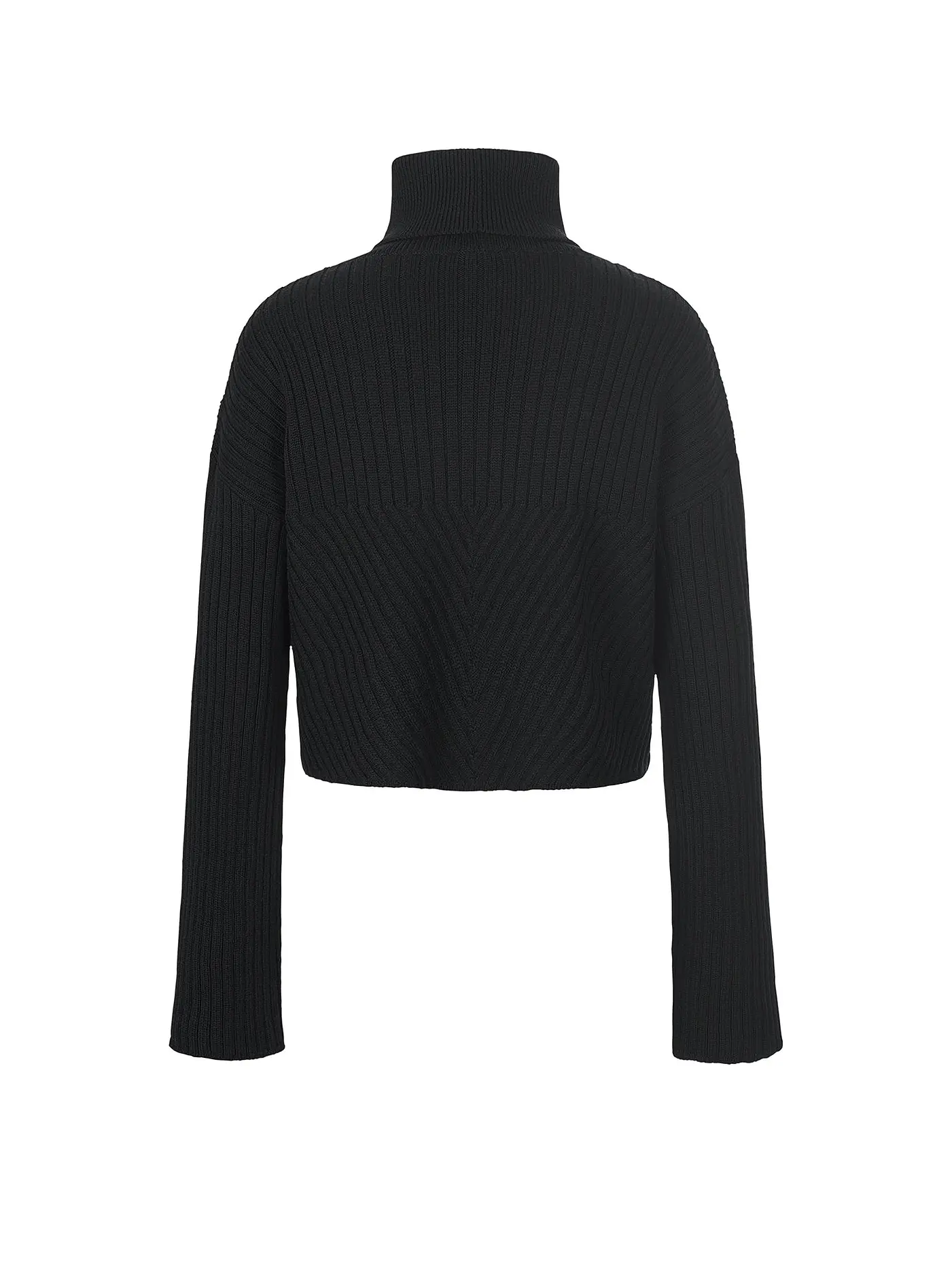 RIANI | Rollkragenpullover  | schwarz