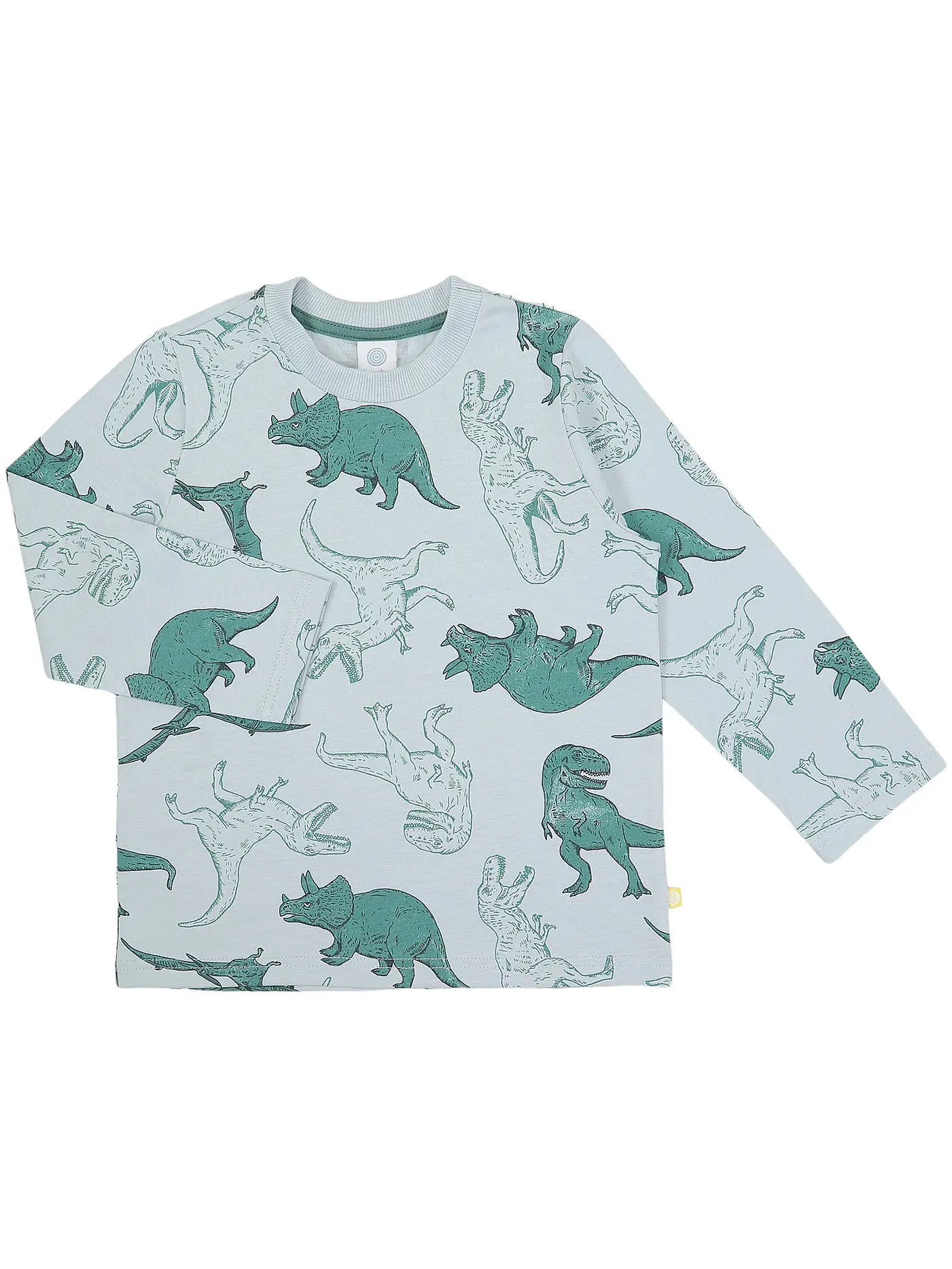 SANETTA | Jungen Pyjama | grün