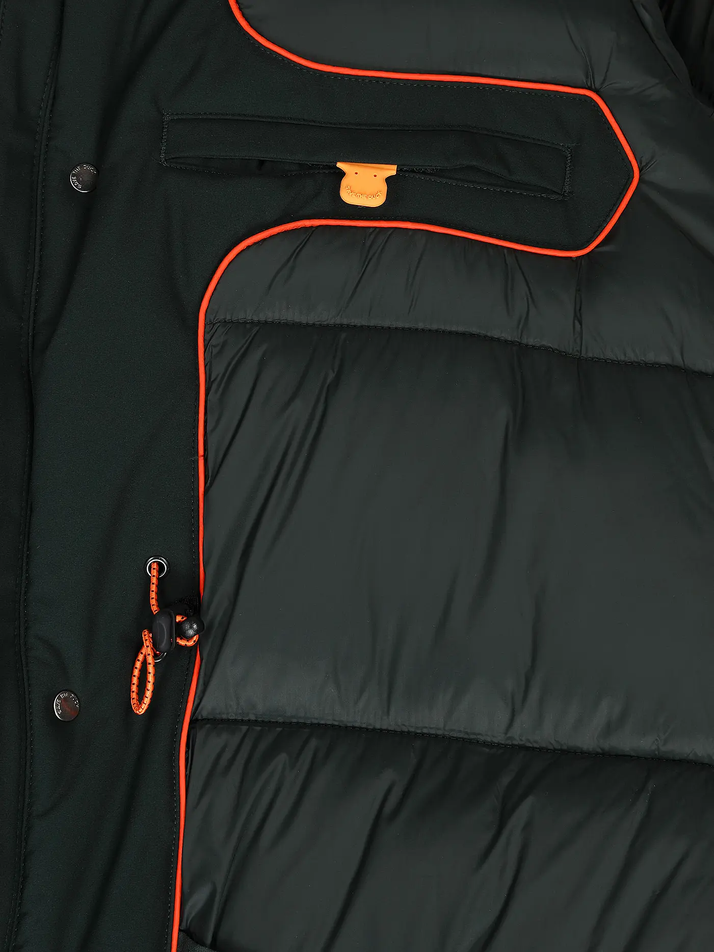 SAVE THE DUCK | Parka WILSON | dunkelgrün