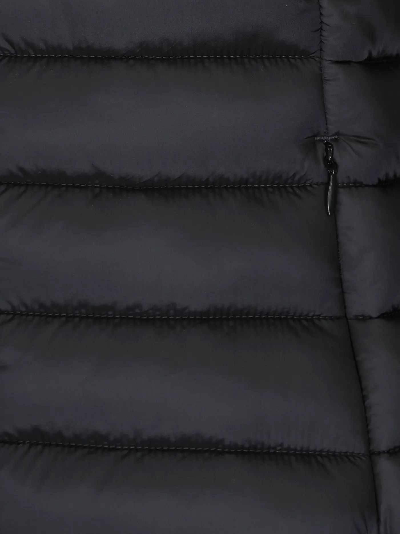 SAVE THE DUCK | Steppjacke ALEXIS  | schwarz