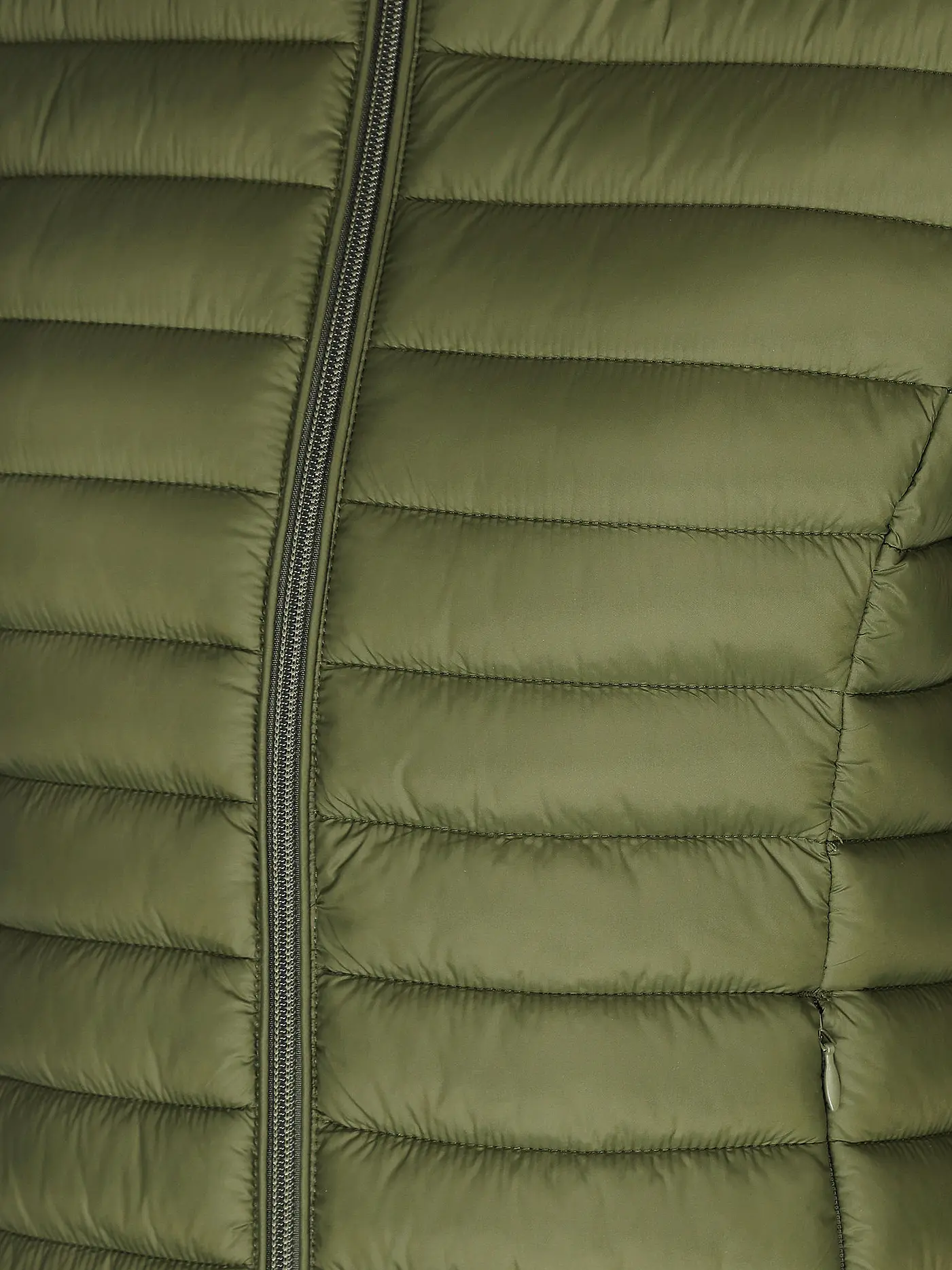 SAVE THE DUCK | Steppjacke CARLY | olive