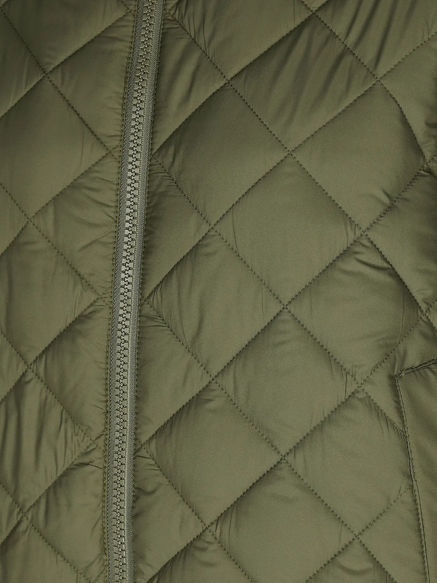 SAVE THE DUCK | Steppjacke HERREA | olive