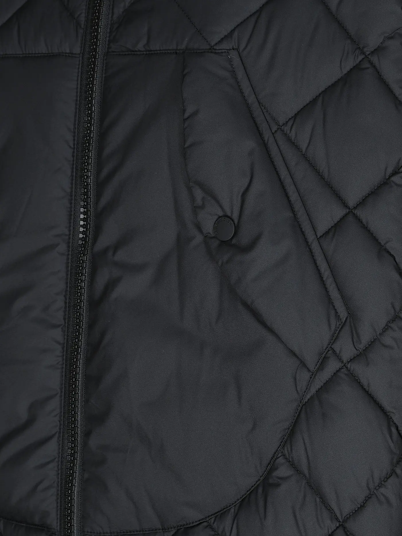 SAVE THE DUCK | Steppjacke VELERIAN  | schwarz
