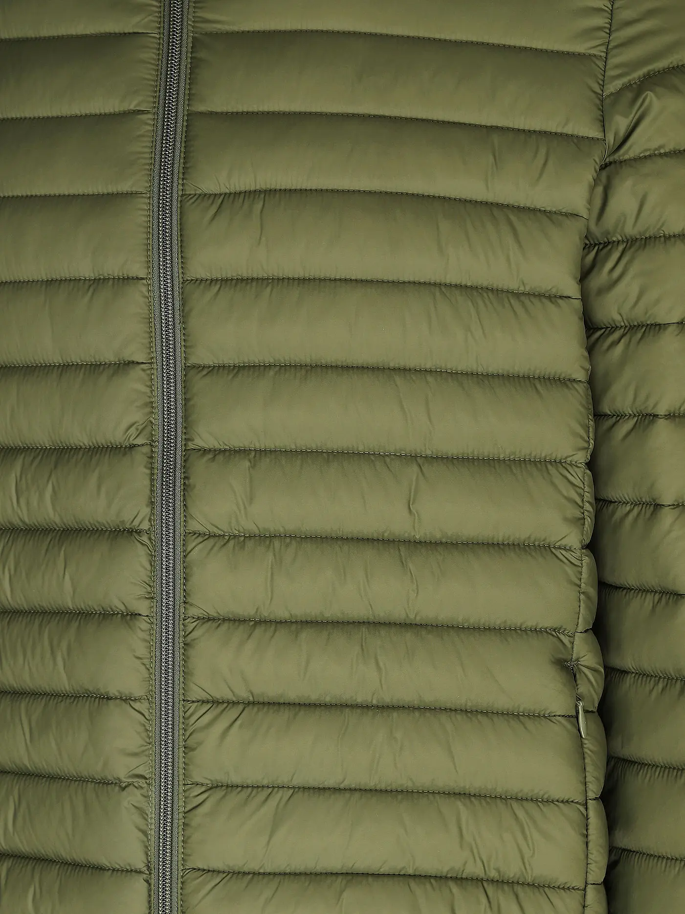 SAVE THE DUCK | Steppjacke | olive