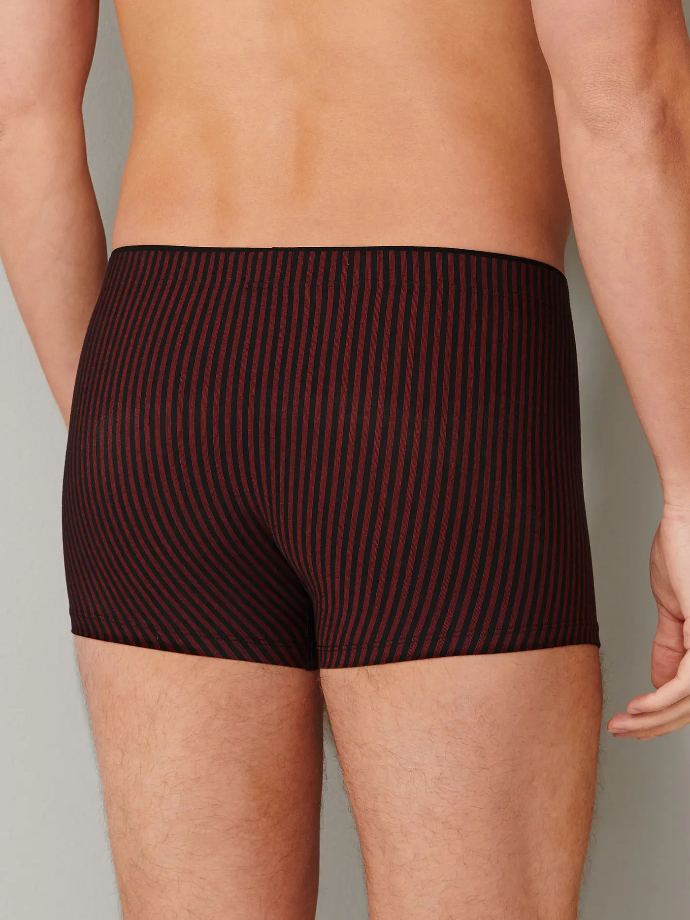 SCHIESSER | Pants Long Life Soft rot  | rot