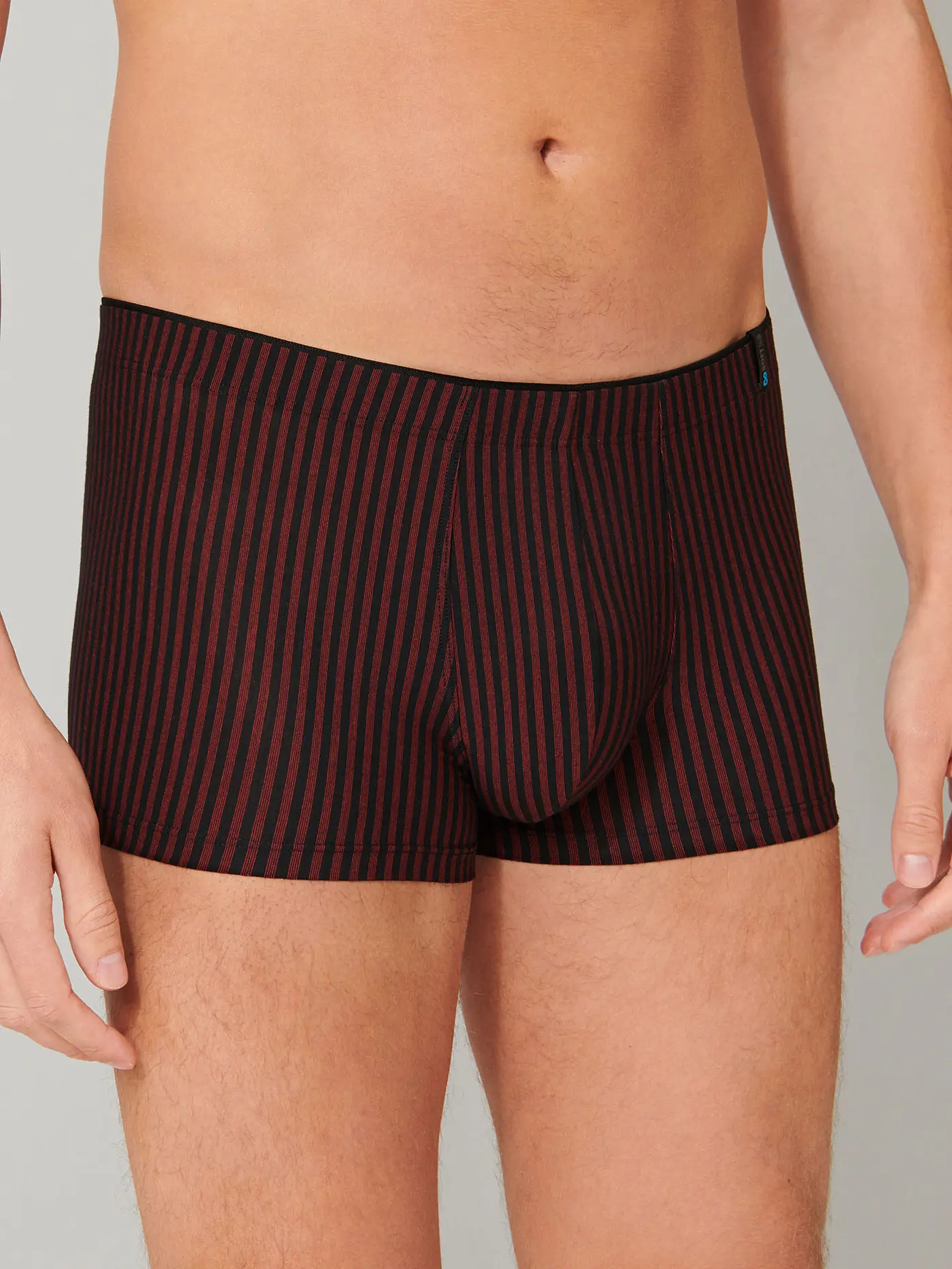 SCHIESSER | Pants Long Life Soft rot  | rot