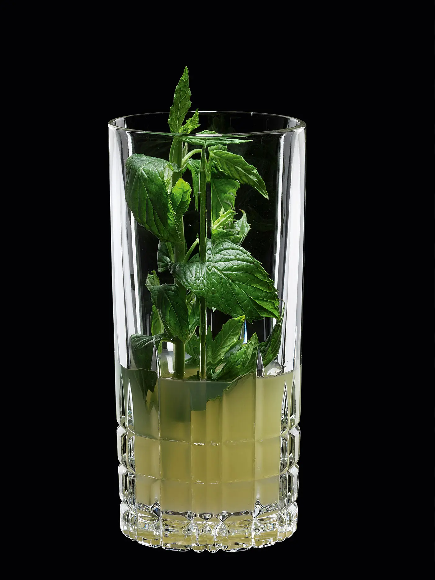 SPIEGELAU | Longdrinkglas 4er Set PERFECT SERVE COLLECTION 350ml | transparent