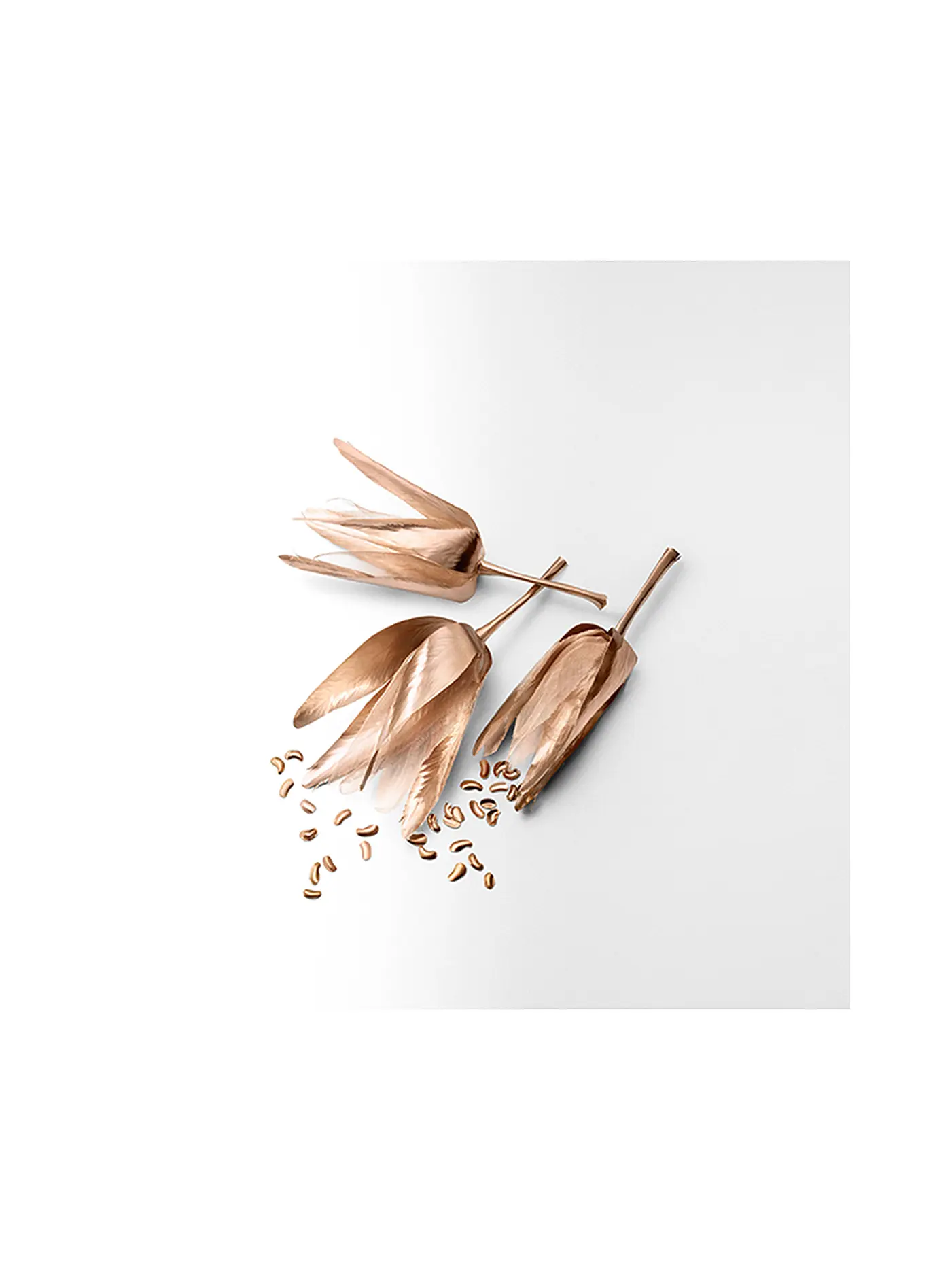 TIFFANY | Rose Gold Eau de Parfum 30ml | keine Farbe