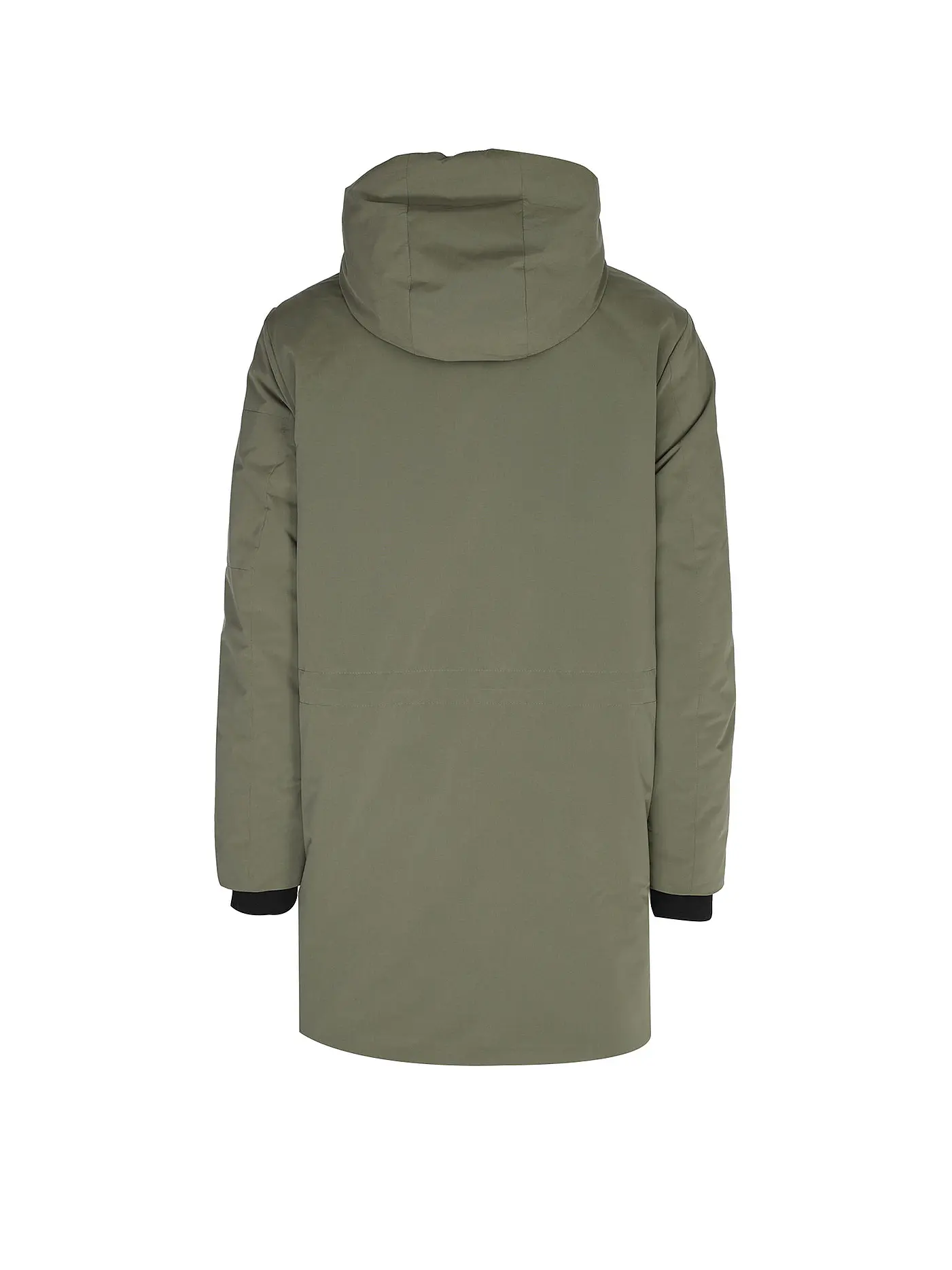 TOM TAILOR DENIM | Parka | olive