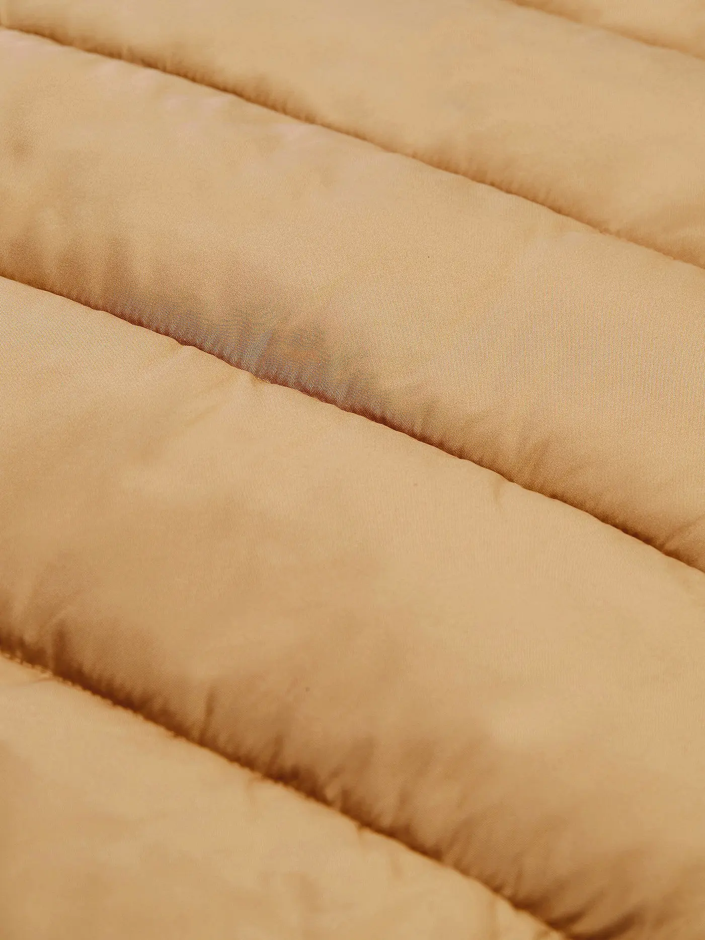 TOM TAILOR | Steppgilet | camel