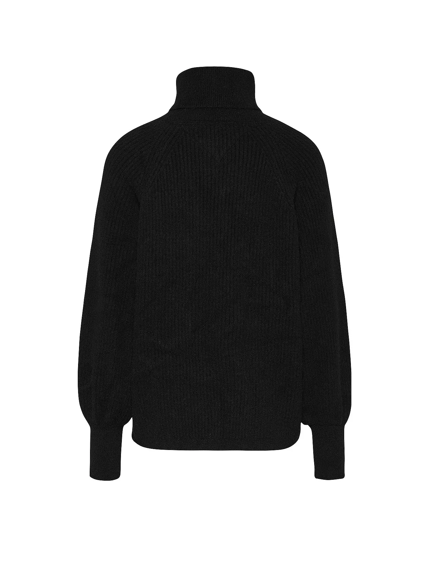 TOMMY JEANS | Rollkragenpullover  | schwarz