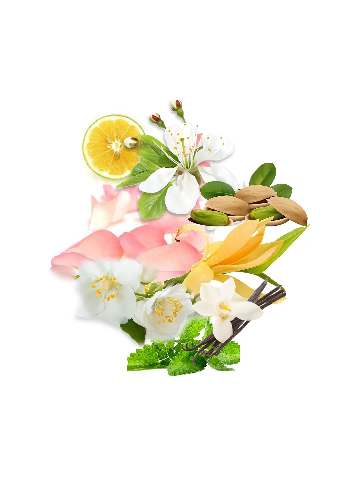 TRUSSARDI | Pure Jasmine Eau de Parfum 60ml | keine Farbe