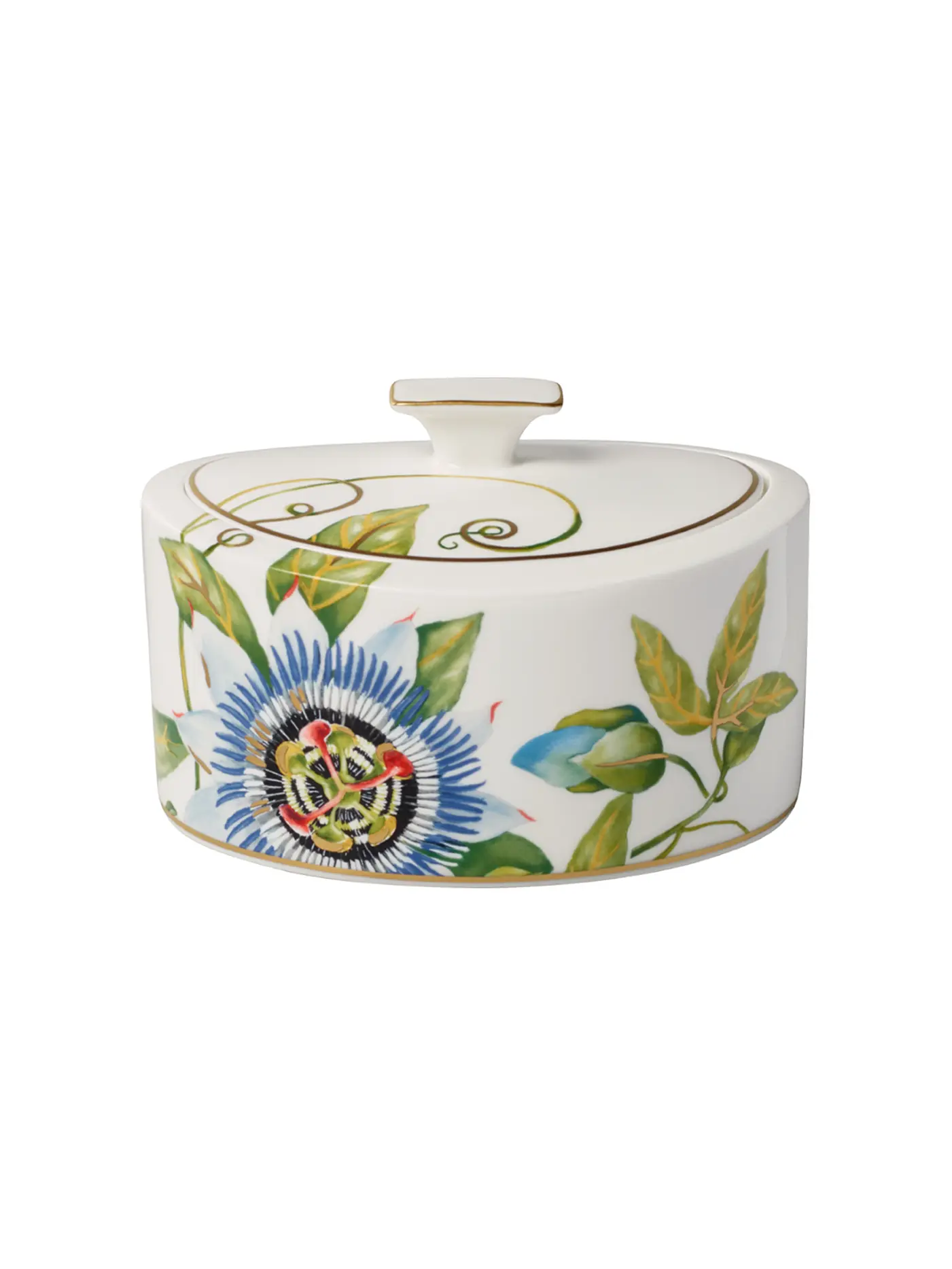 VILLEROY & BOCH SIGNATURE | Porzellandose"Amazonia Gifts" 15cm | bunt